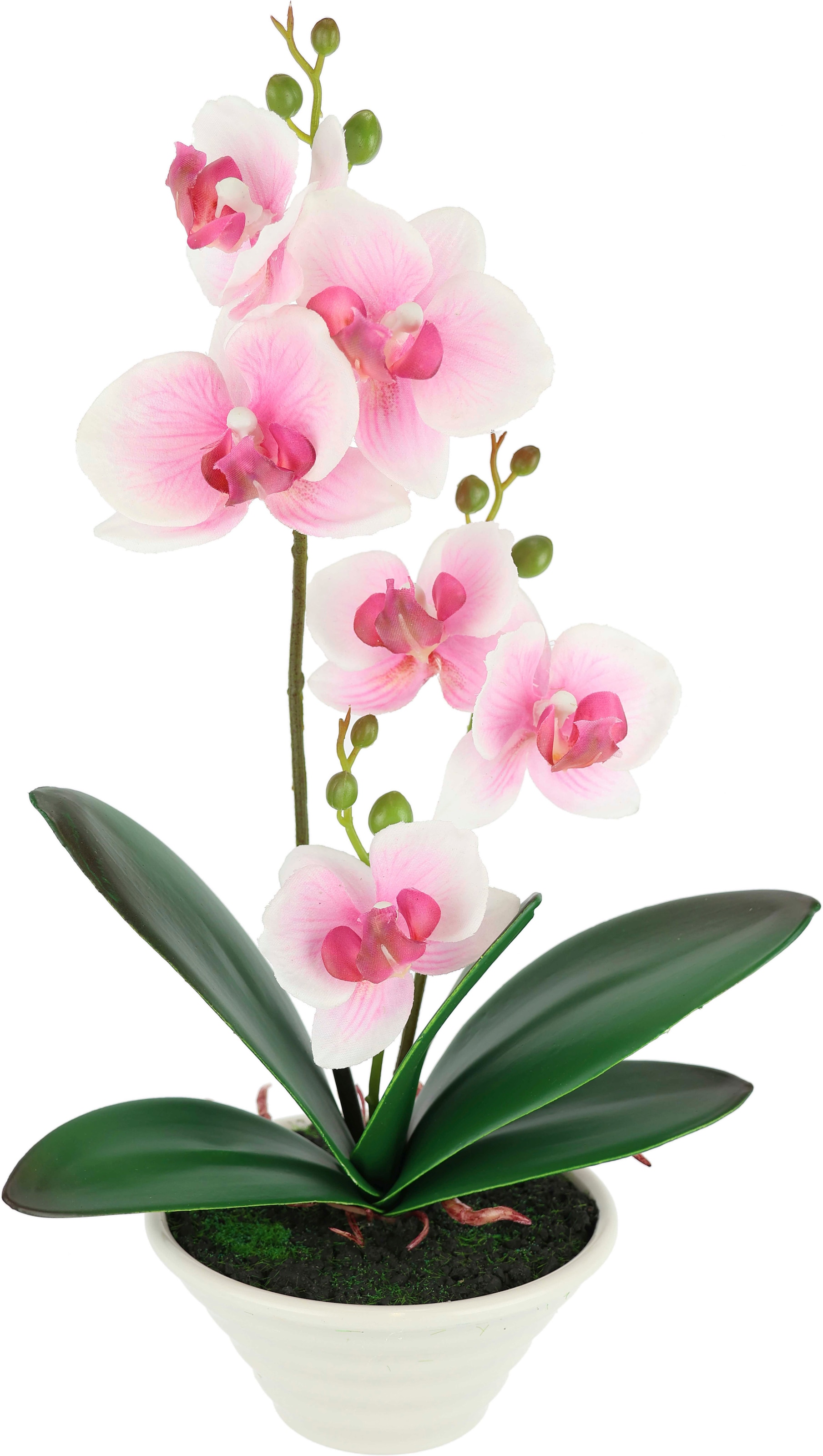 I.GE.A. Kunstblume "Kunstorchidee im Topf" 30cm künstliche Orchidee mit Blüten Phalaenopsis Kunstpflanze Pflanze