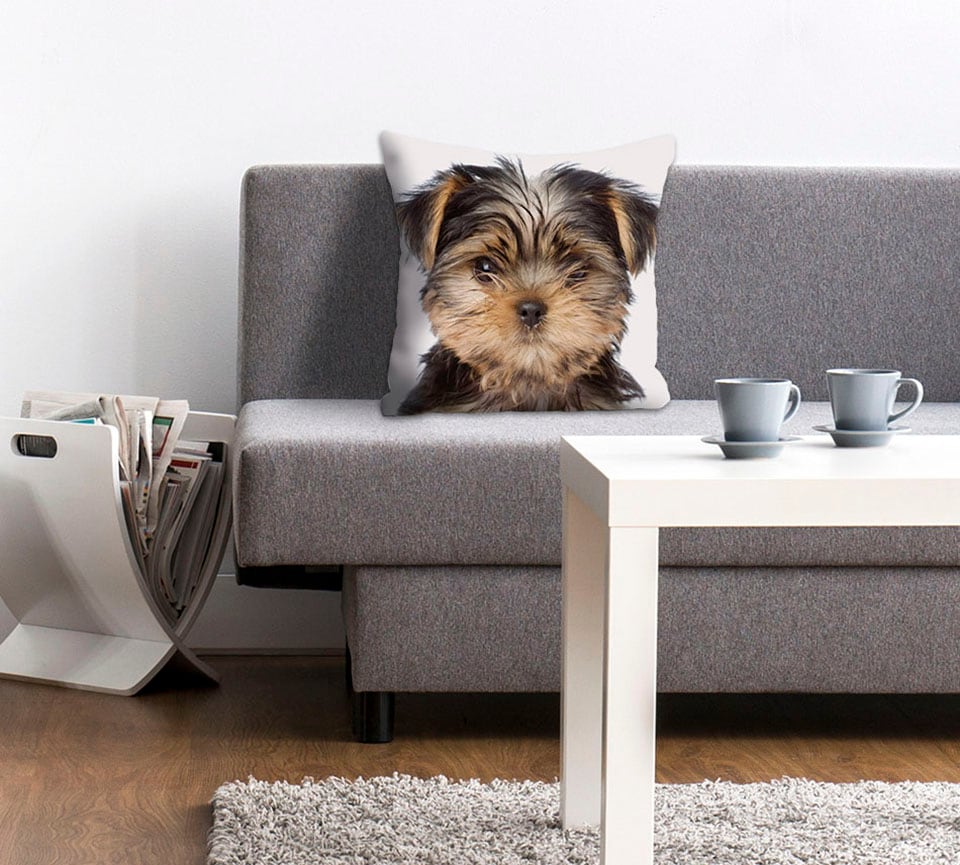 queence Dekokissen "Ines" Kissenhülle,Hund,Süß,Tiermotiv,Niedlich,Verspielt günstig online kaufen