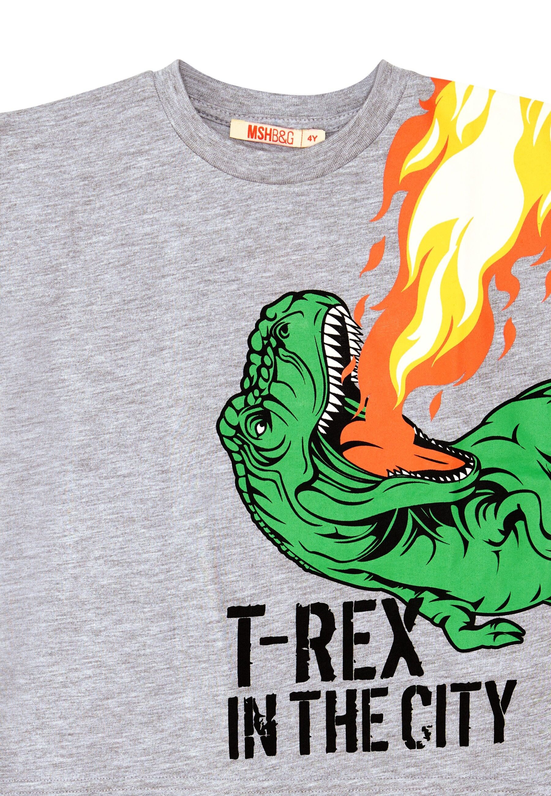 Denokids Hausanzug »T-Rex Flame«, (2 tlg.), mit Dinosaurier-Print