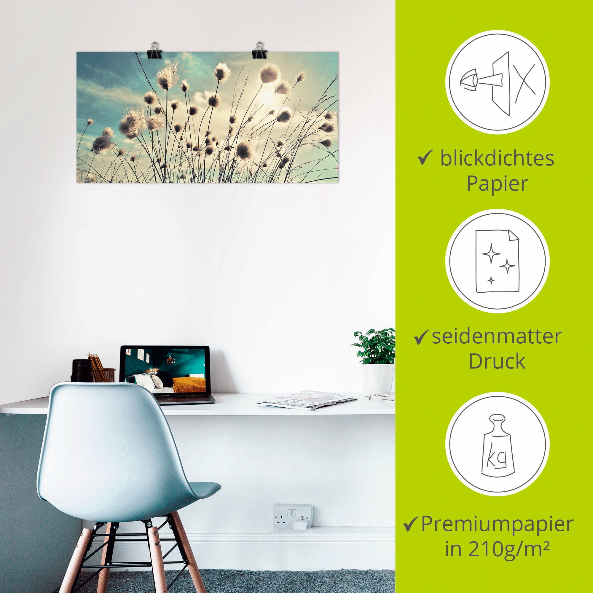 Artland Wandbild »Wollgras«, Gräser, (1 St.), als Alubild, Outdoorbild, Leinwandbild, Poster, Wandaufkleber