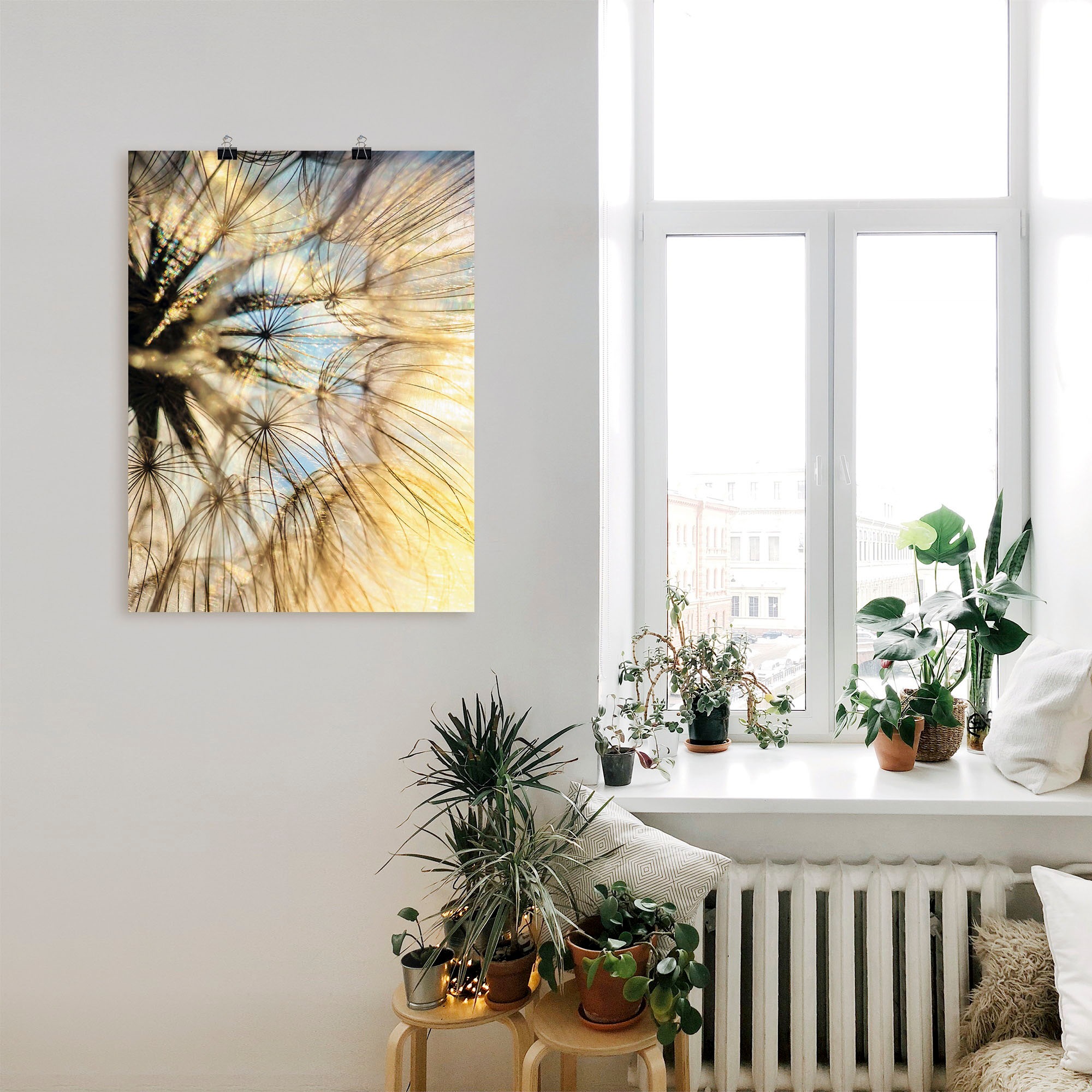 | Poster in oder Wandbild als »Pusteblume Wandaufkleber Leinwandbild, Alubild, (1 versch. Artland Größen BAUR Poesie«, bestellen St.), Blumen,