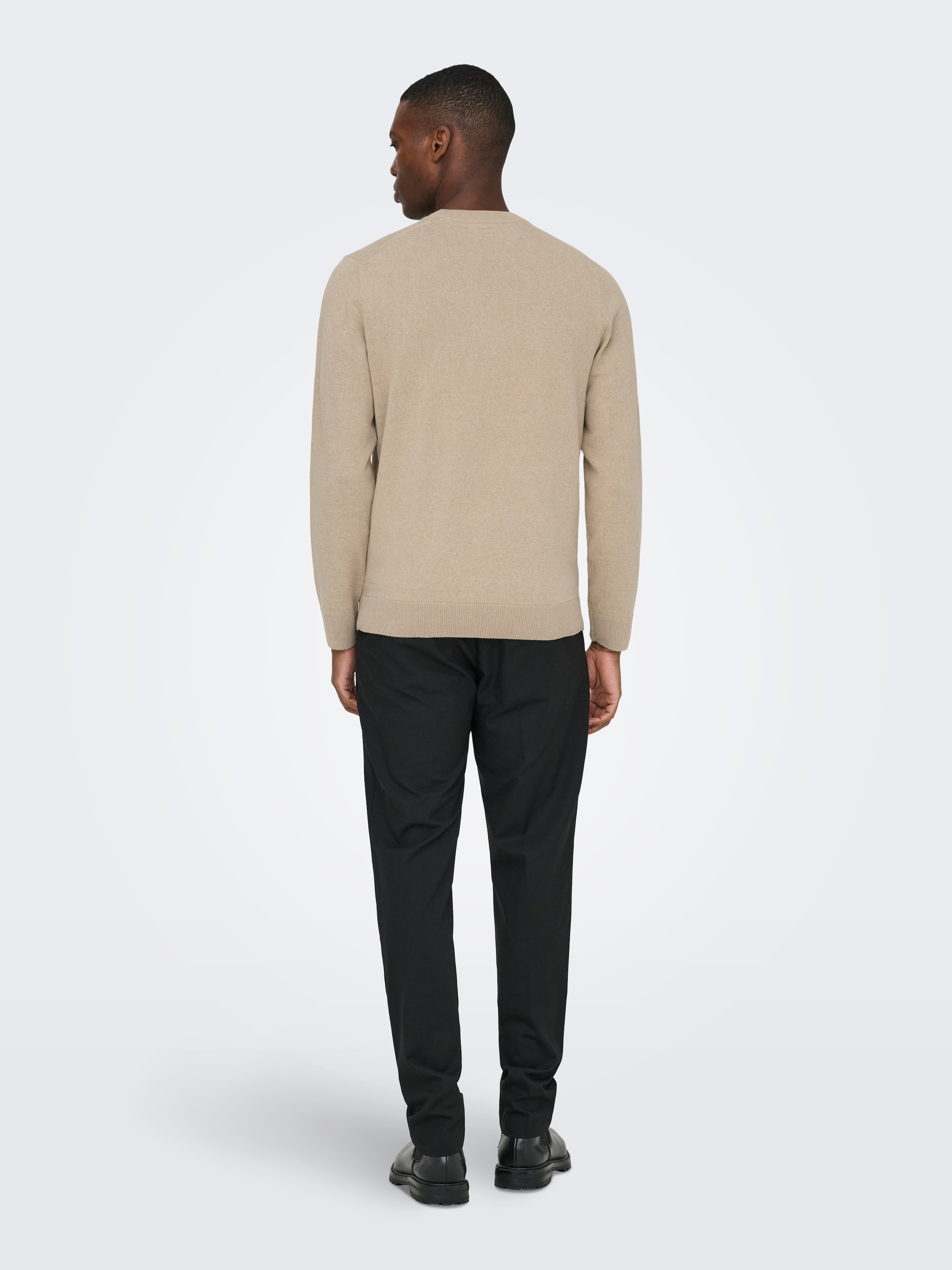 ONLY & SONS Rundhalspullover »ONSREX LIFE REG 12 CREW KNIT«