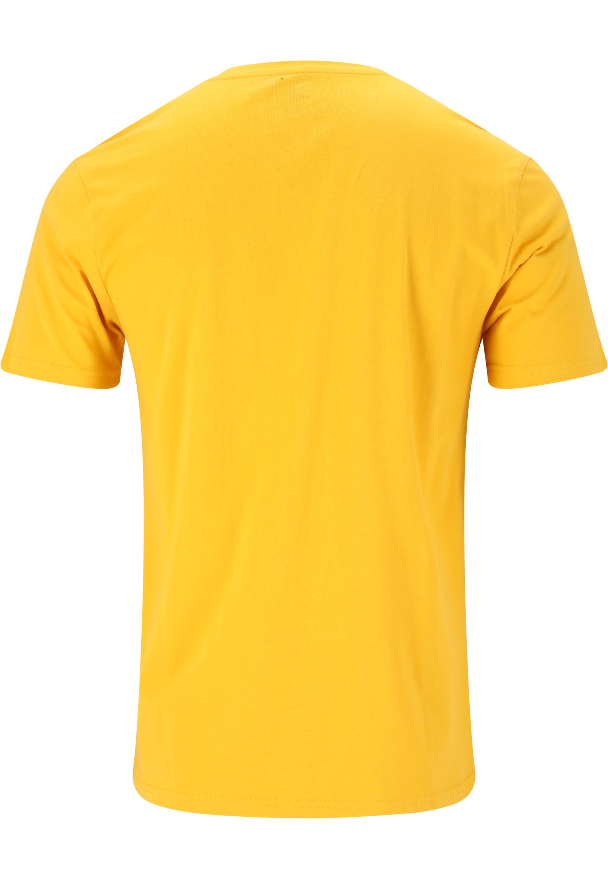 WHISTLER T-Shirt »Vesper«, (1 tlg.), mit modischem Aufdruck