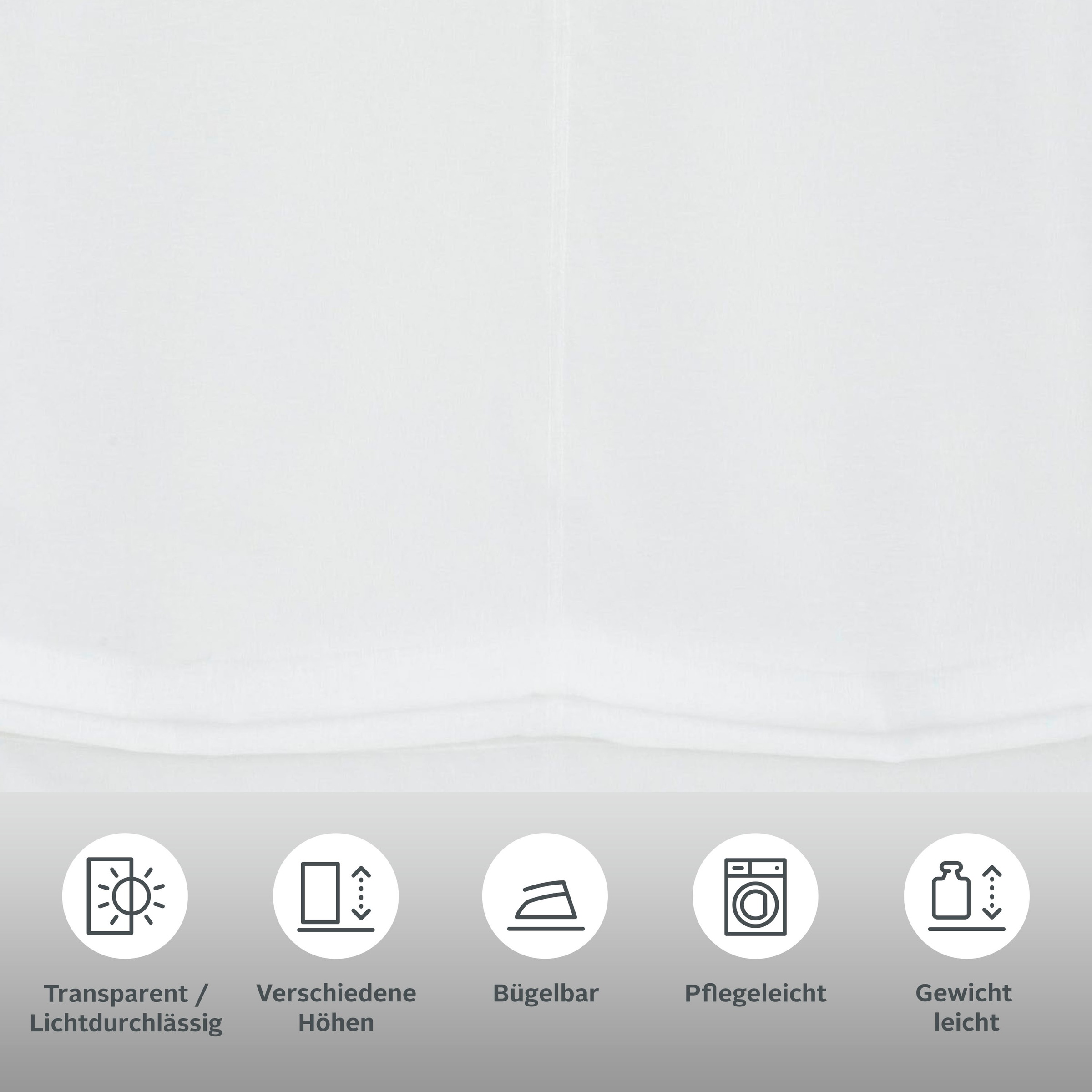 my home Raffrollo "Regina" mit Klettband Transparent, Voile, Polyester günstig online kaufen