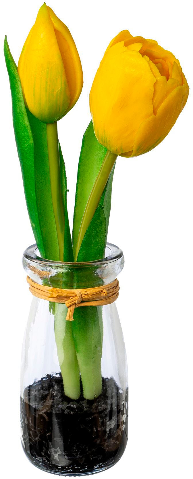 my home Kunsttulpe »Tulpen in Vase«