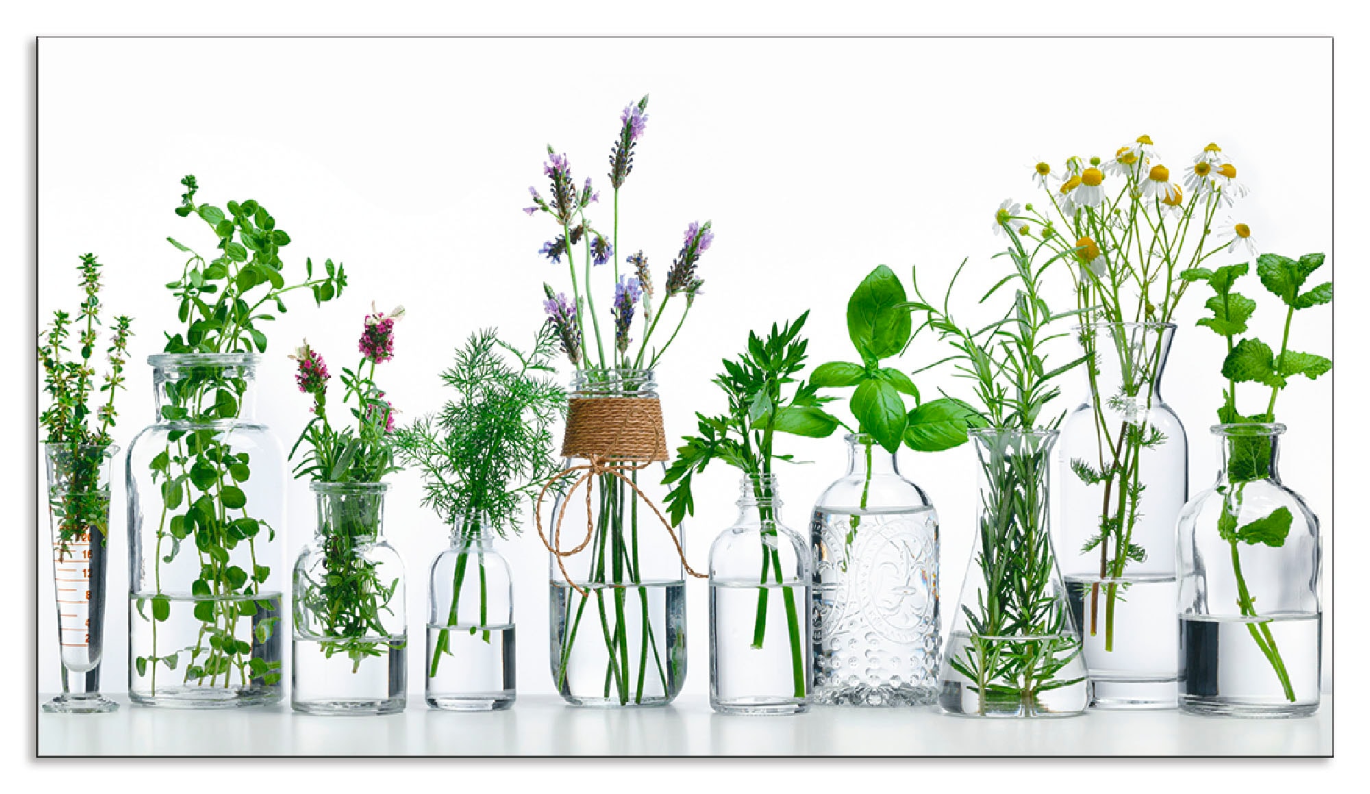 Küchenrückwand ARTLAND, B:90cm H:50cm, grün, Aluminium, Spritzschutzwände, "Öle mit Kräutern", Alu Spritzschutz mit Klebeband, einfache Montage