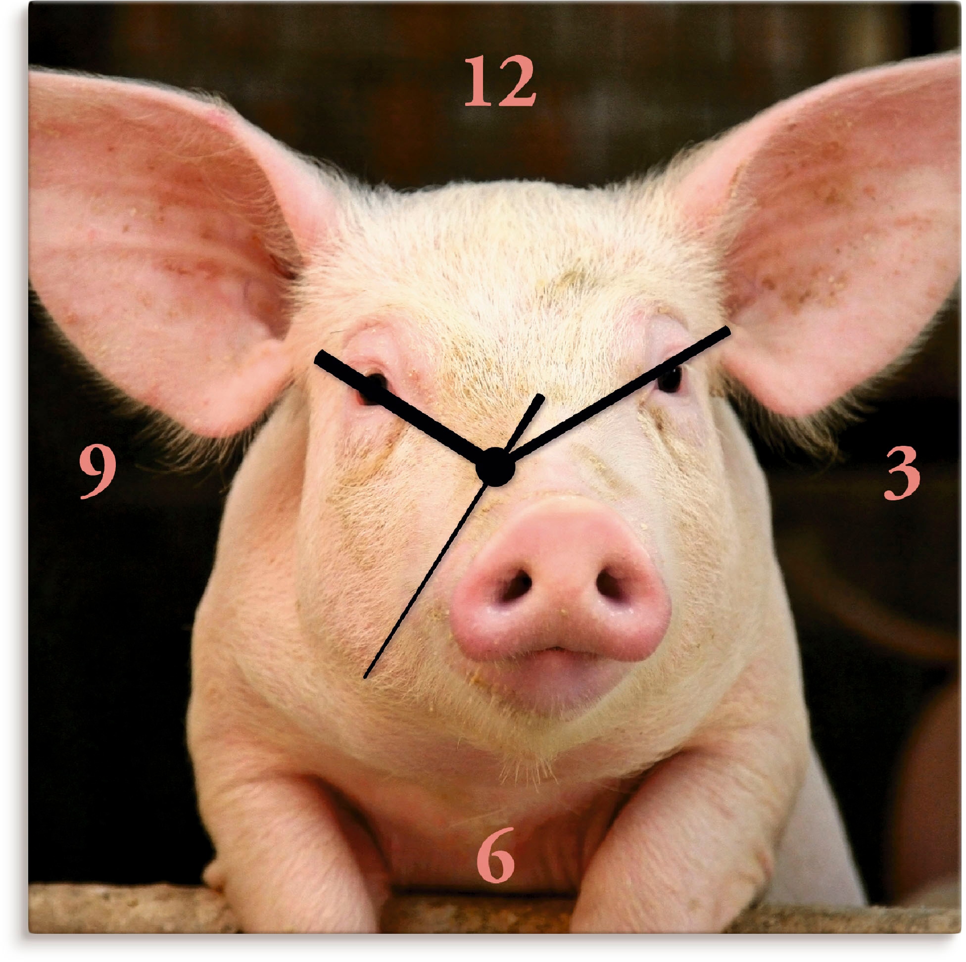 Artland Wanduhr "Vorwitziges Schwein", wahlweise mit Quarz- oder Funkuhrwerk, lautlos ohne Tickgeräusche
