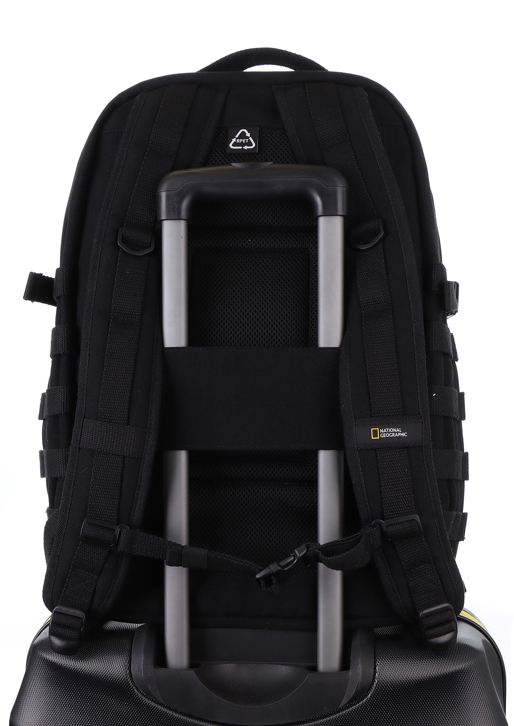 NATIONAL GEOGRAPHIC Cityrucksack »Milestone«, mit vielen Fächern