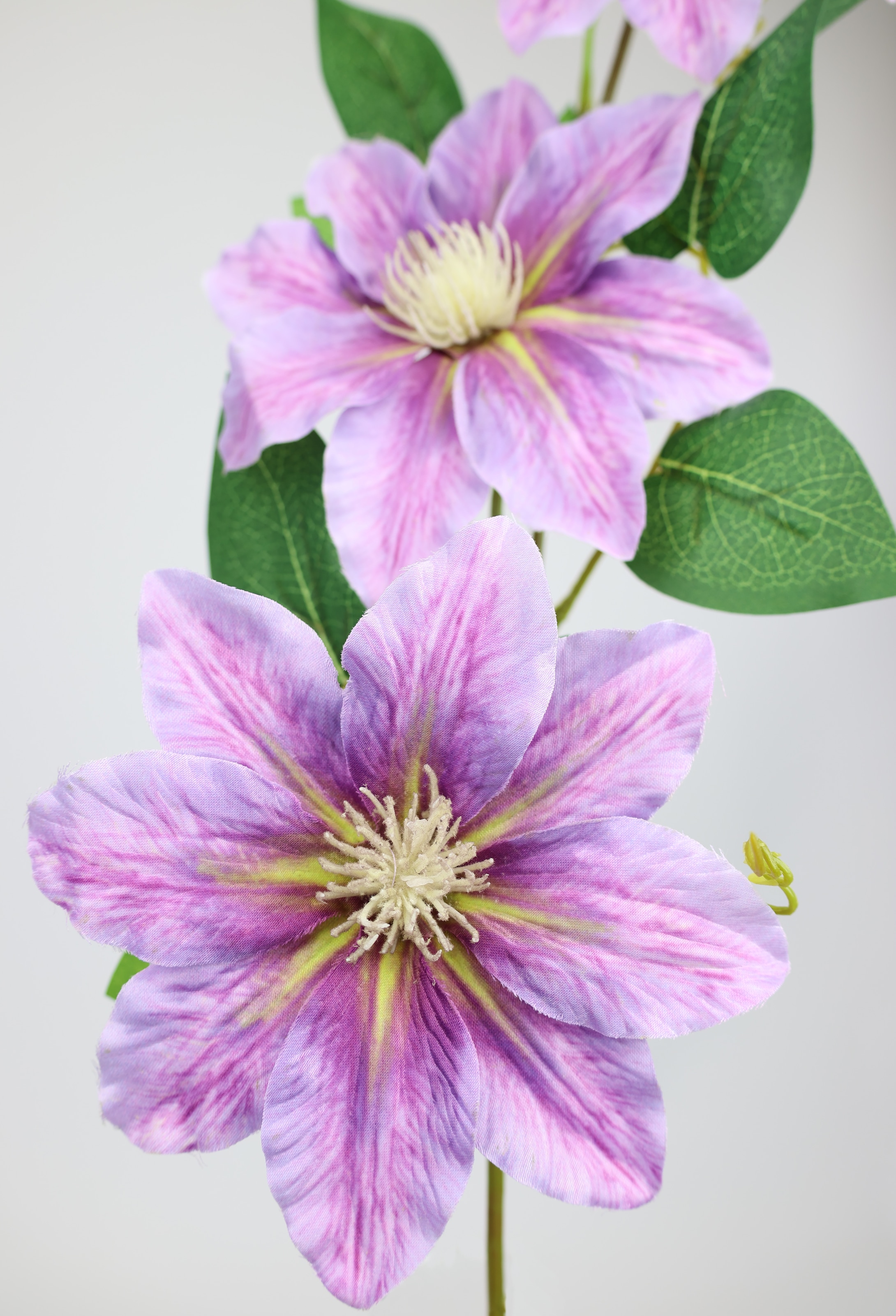 I.GE.A. Kunstblume »Clematisranke Waldrebe«, Zweig Einzelblume Stielblume, 2er Set