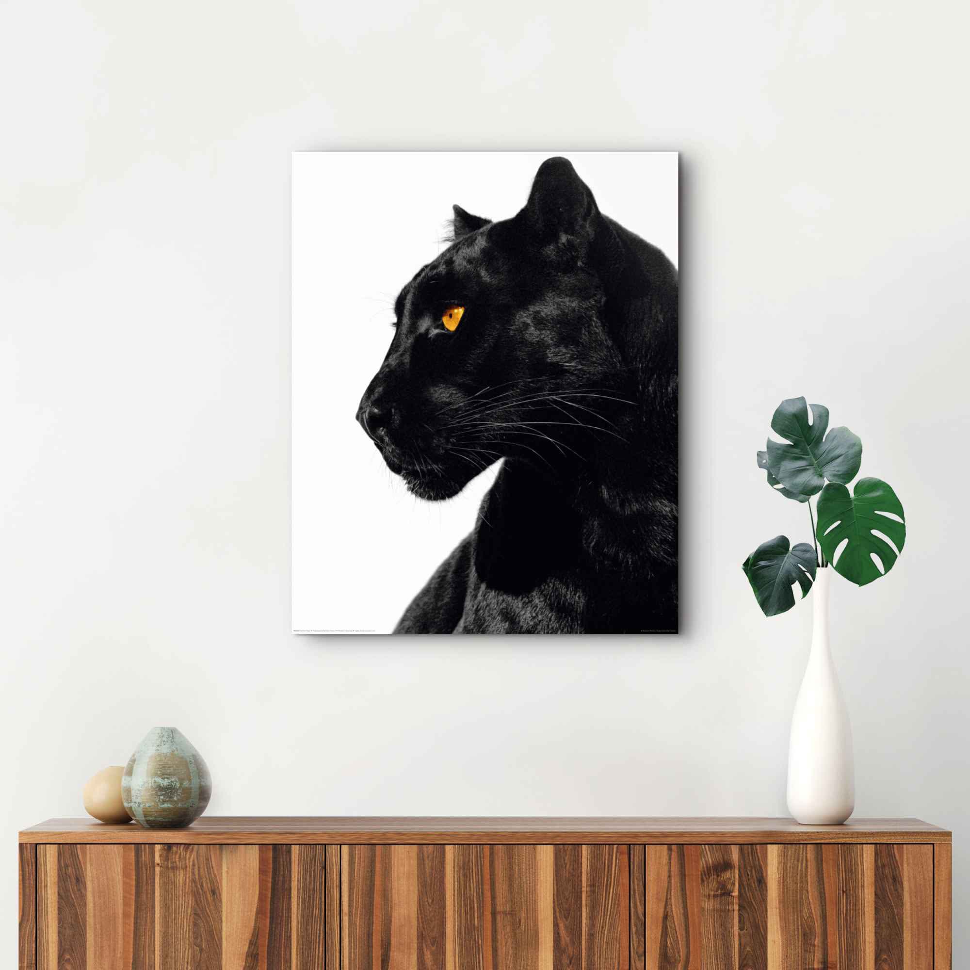 Reinders! Wandbild Panther | »Wandbild St.) bestellen - Tiere, Schwarzer (1 Seitenblick«, Tierportrait BAUR