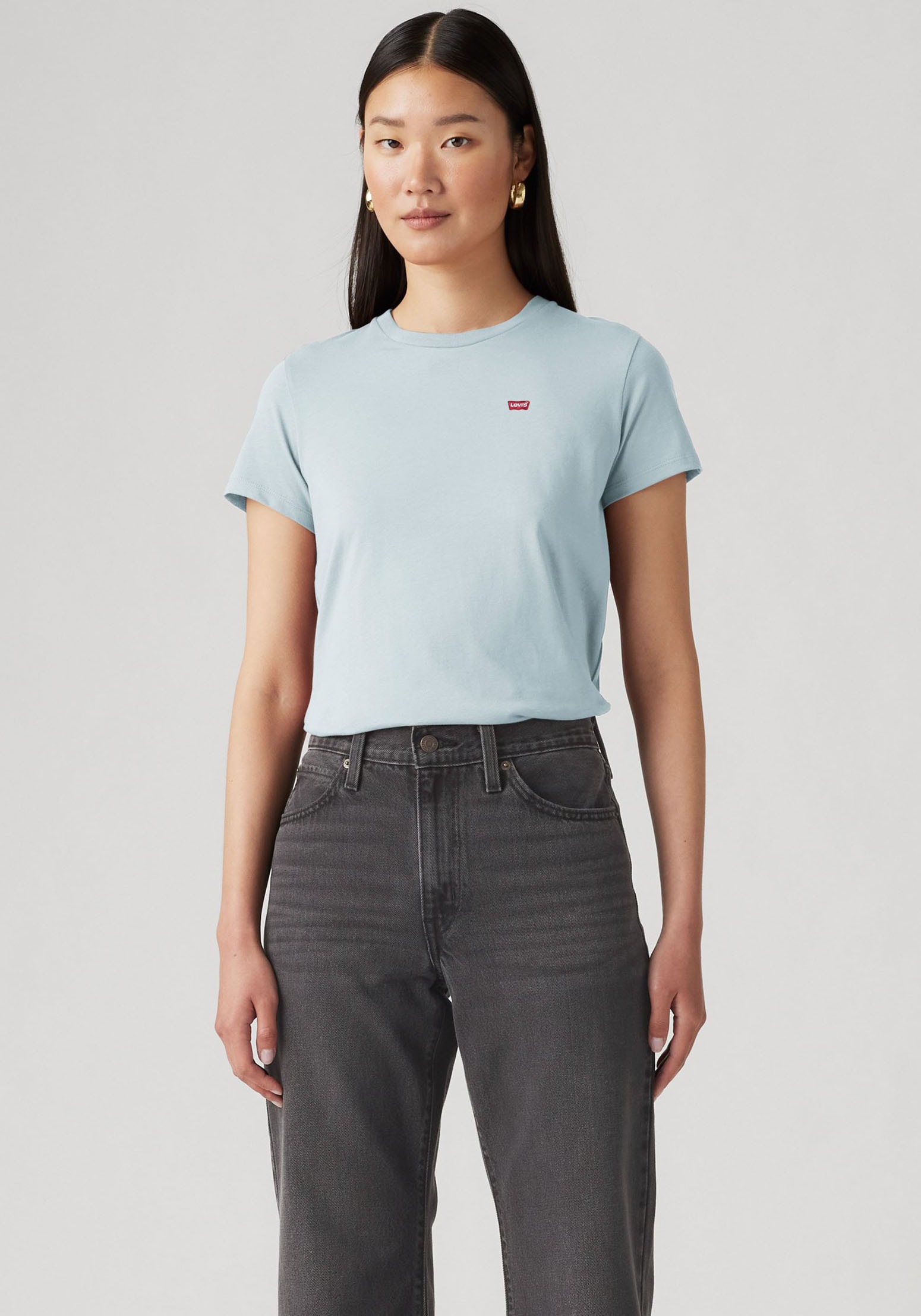 Levi's® T-Shirt »Mini-Logo«, (2 tlg., 2er-Pack), mit kleiner Markenlogo-Stickerei auf der Brust