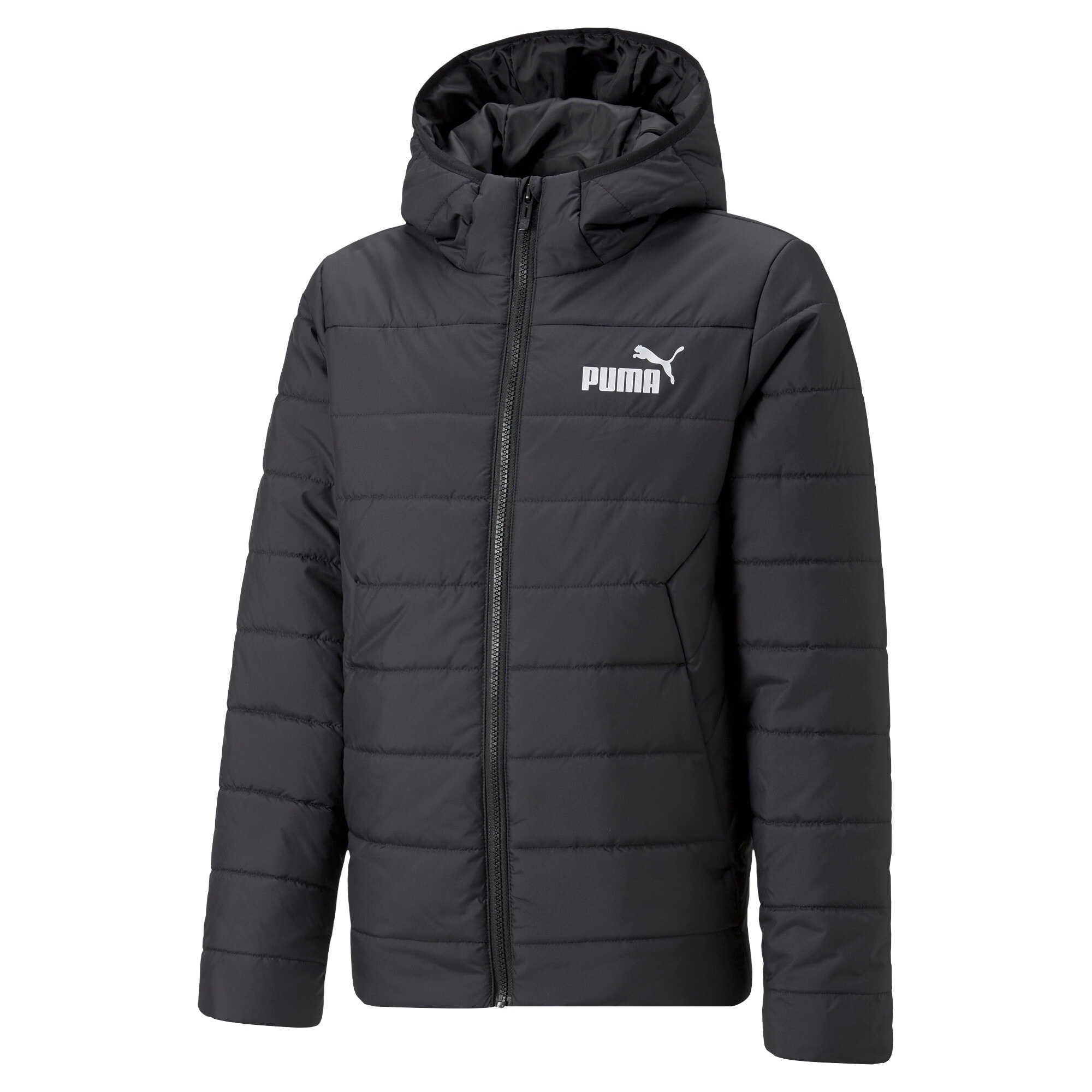 PUMA Winterjacke »ESS HOODED PADDED JACKET«, mit Kapuze
