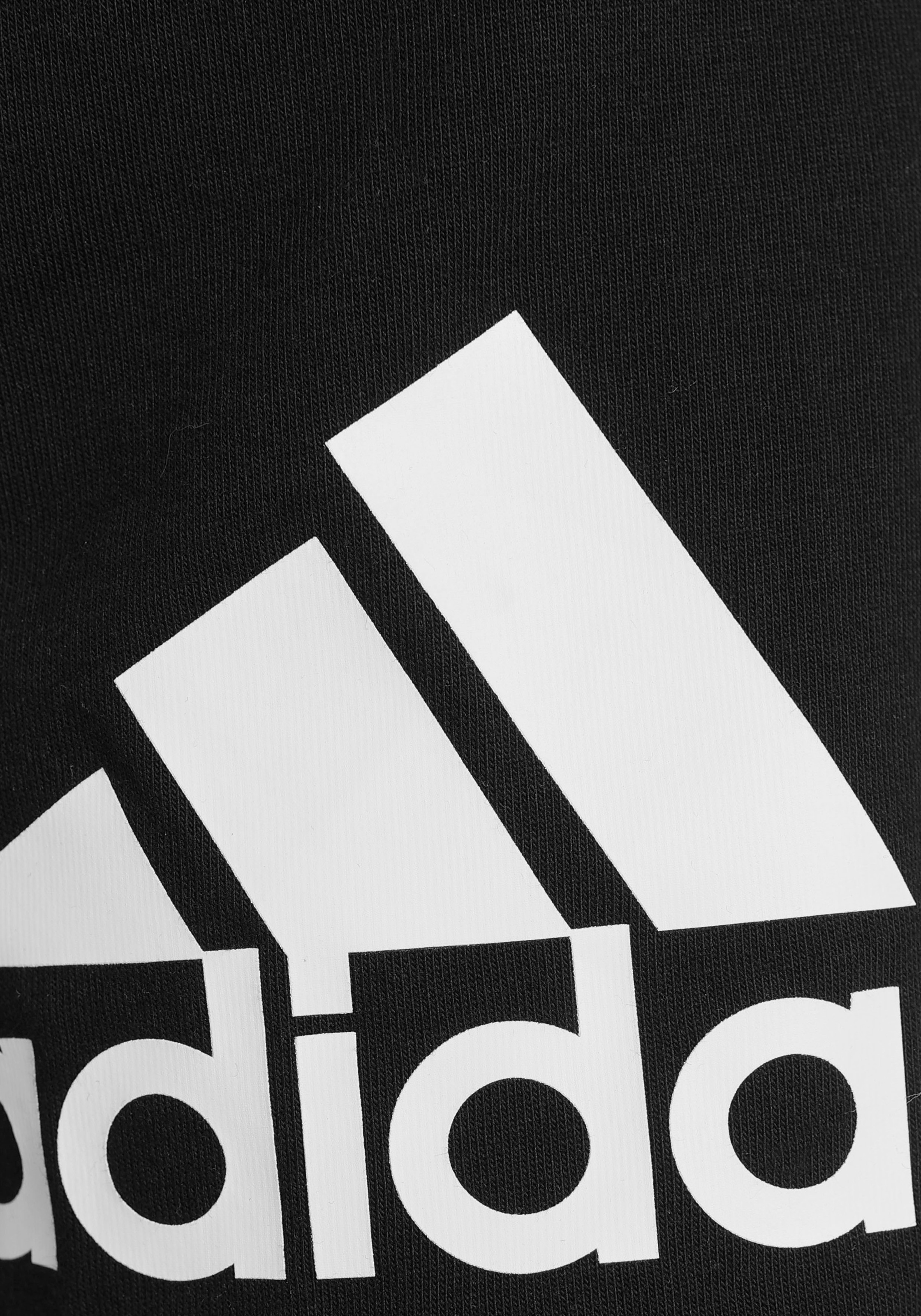 adidas Sportswear Shorts »ESSENTIALS BIG LOGO COTTON«, (1 tlg.)