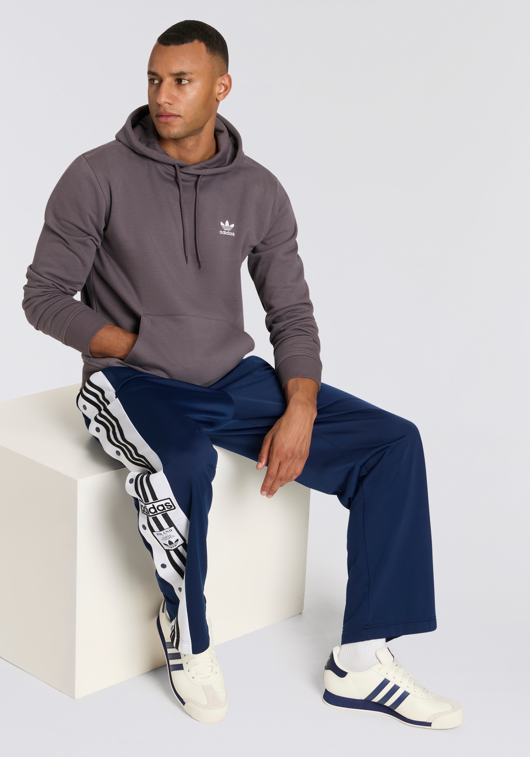 adidas Originals Kapuzensweatshirt »ESS HD«, Basic Hoodie, Kapuzenpullover mit Logo