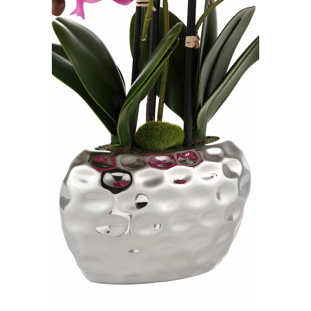 Creativ green Kunstpflanze »Orchidee«