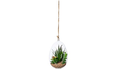 Creativ green Künstliche Zimmerpflanze »Sukkulenten-Mix mit LED-Beleuchtung«, (1 St.),... kaufen
