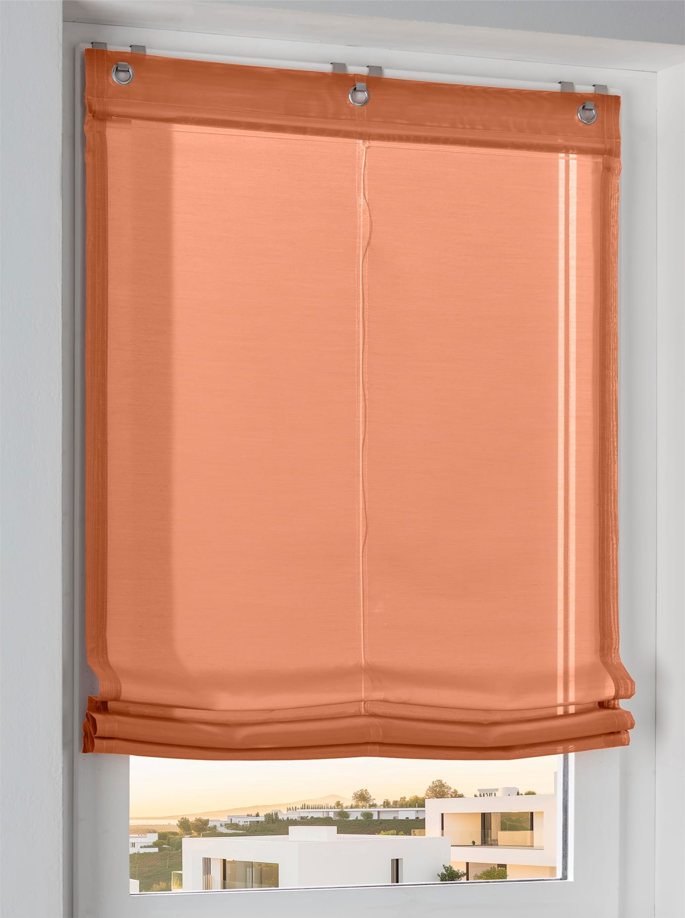 heine home Raffrollo mit Ösen günstig online kaufen