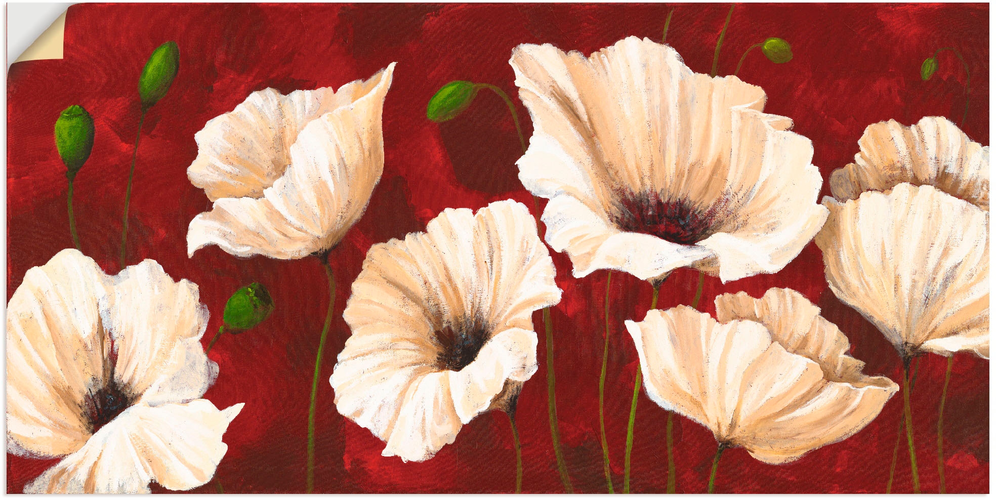 Wandbild »Weiße Mohnblumen vor rot«, Blumen, (1 St.), als Alubild, Outdoorbild,...