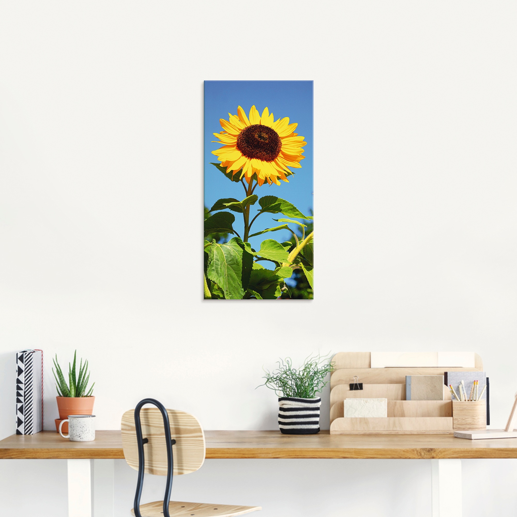 Artland Glasbild "Große Sonnenblume" Blumen 1 Stk. tlg. in verschiedenen Gr günstig online kaufen