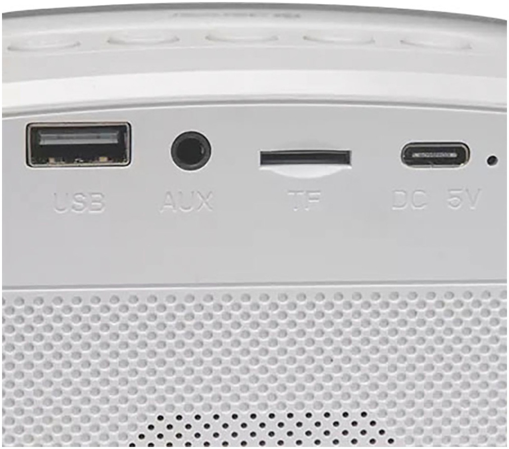Denver Bluetooth-Lautsprecher »BTM-610«, mit Karaoke-Funktion