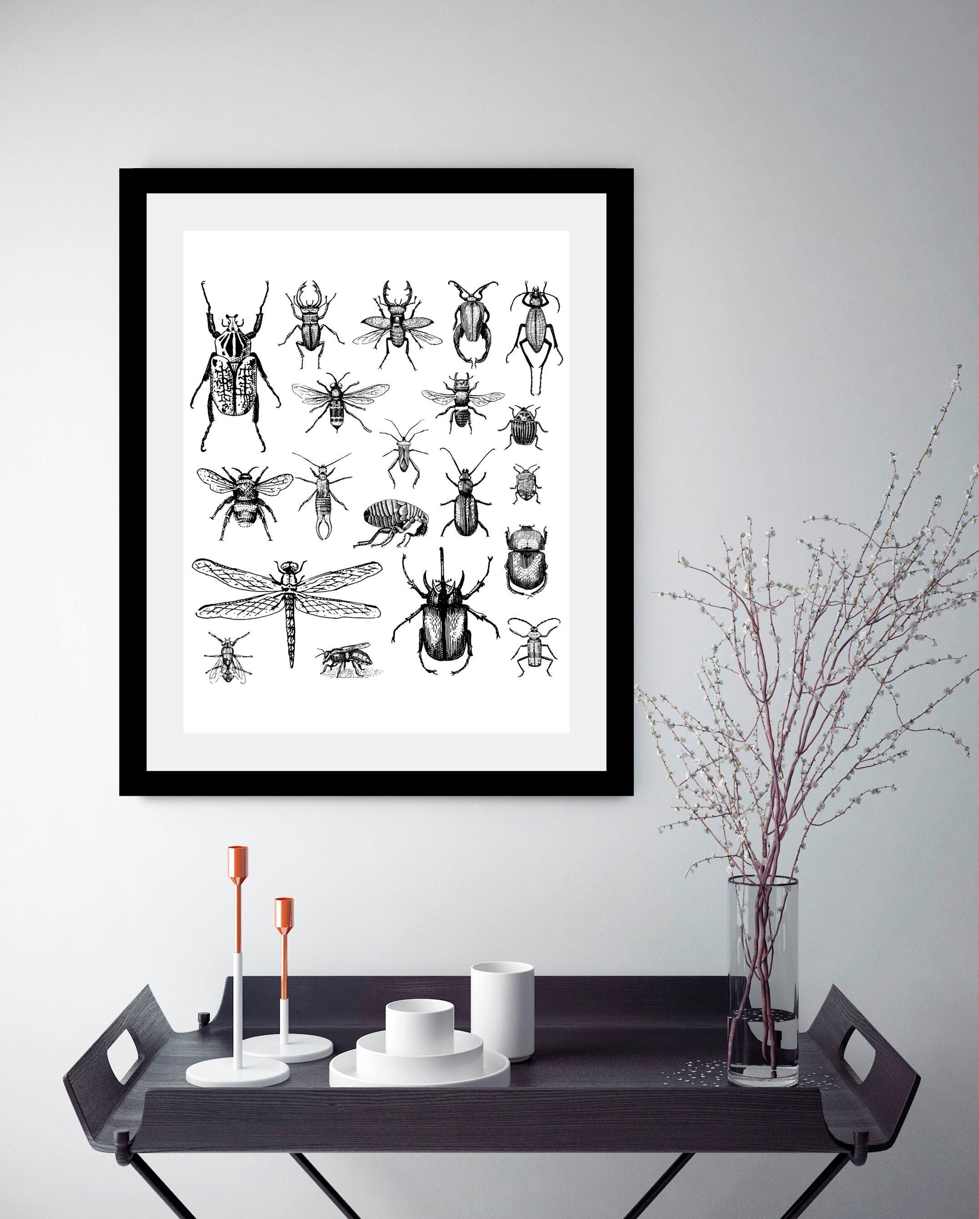 queence Bild »Käfer«, Tiere-Schwarz-Weiß-Kunst-Insekten, HD Premium Poster-Druck inkl. Holzrahmen