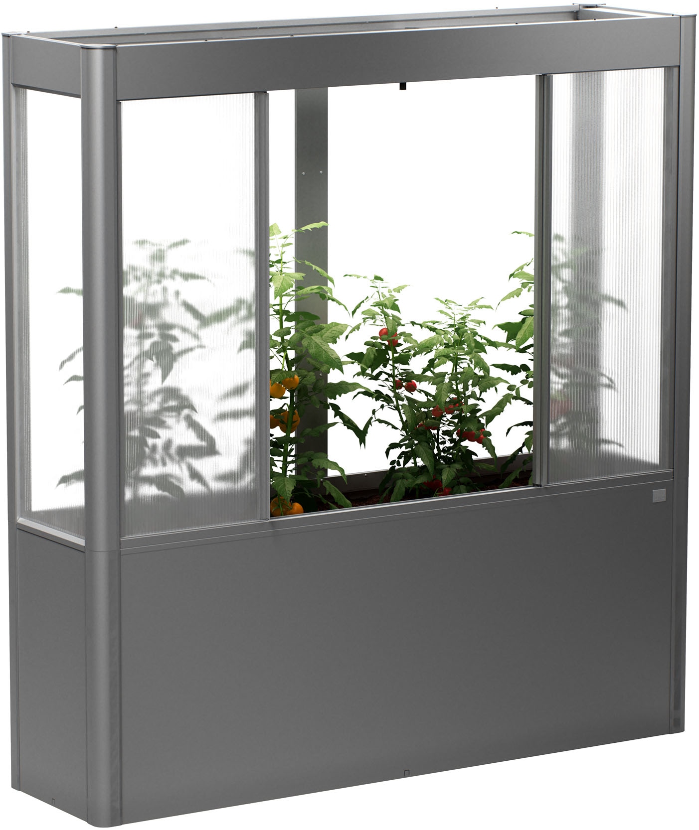 Gewächshaus BIOHORT, B:201,6cm H:213,4cm T:54,7cmquarzgrau, metallic, Gewächshäuser, "Florentina Gr. 2x0,5 MAXI, verschiedene Farben", Kompaktes