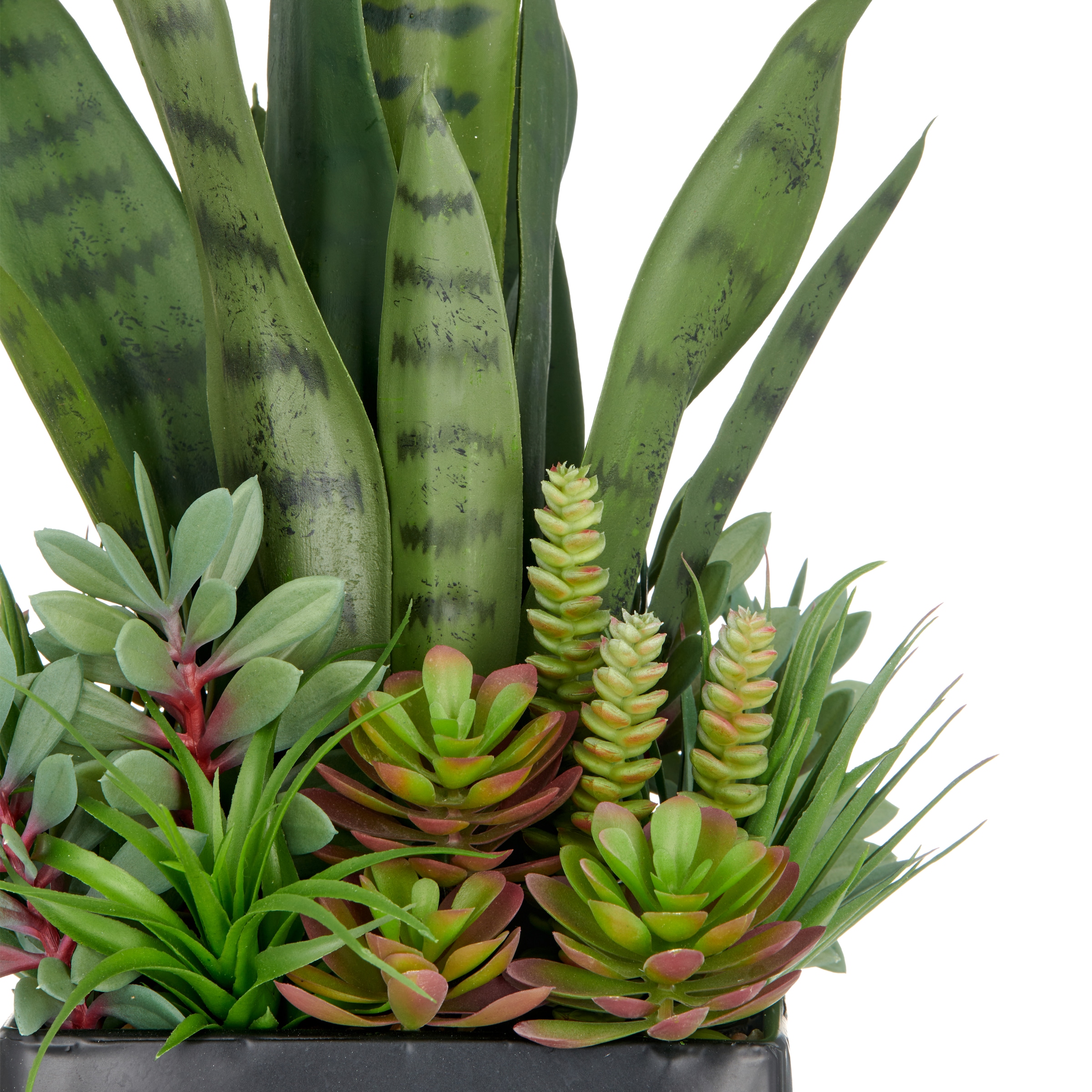 Creativ green Kunstpflanze »Arrangement aus Sukkulenten«, mit verschiedenen Sukkulenten
