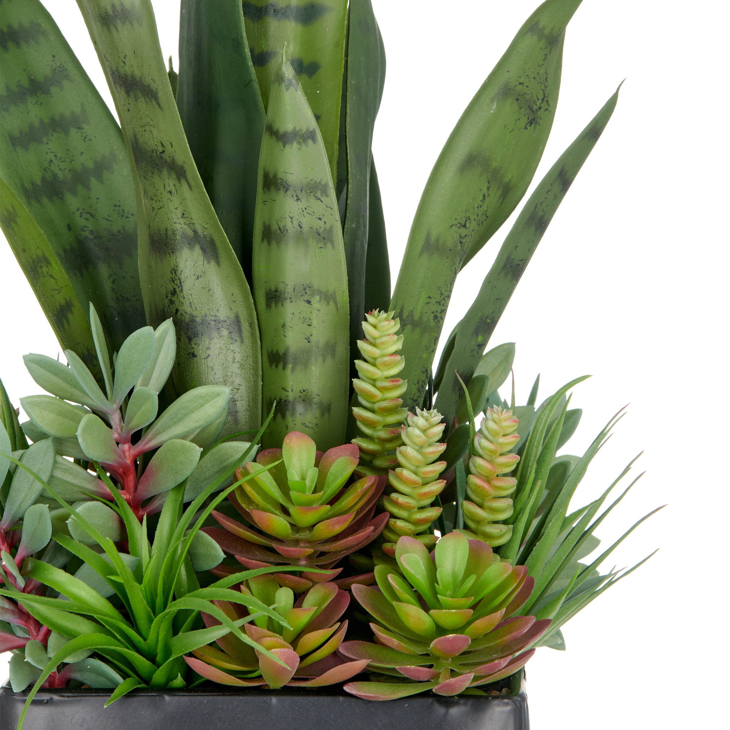 Creativ green Kunstpflanze "Arrangement aus Sukkulenten", mit verschiedenen günstig online kaufen