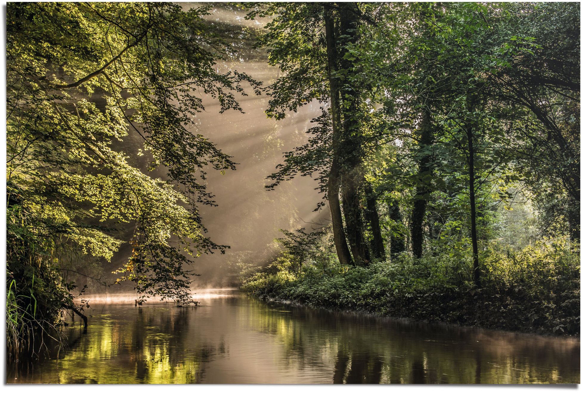 Reinders Poster "Lichtspiel am Waldsee" 1 Stk. tlg. günstig online kaufen
