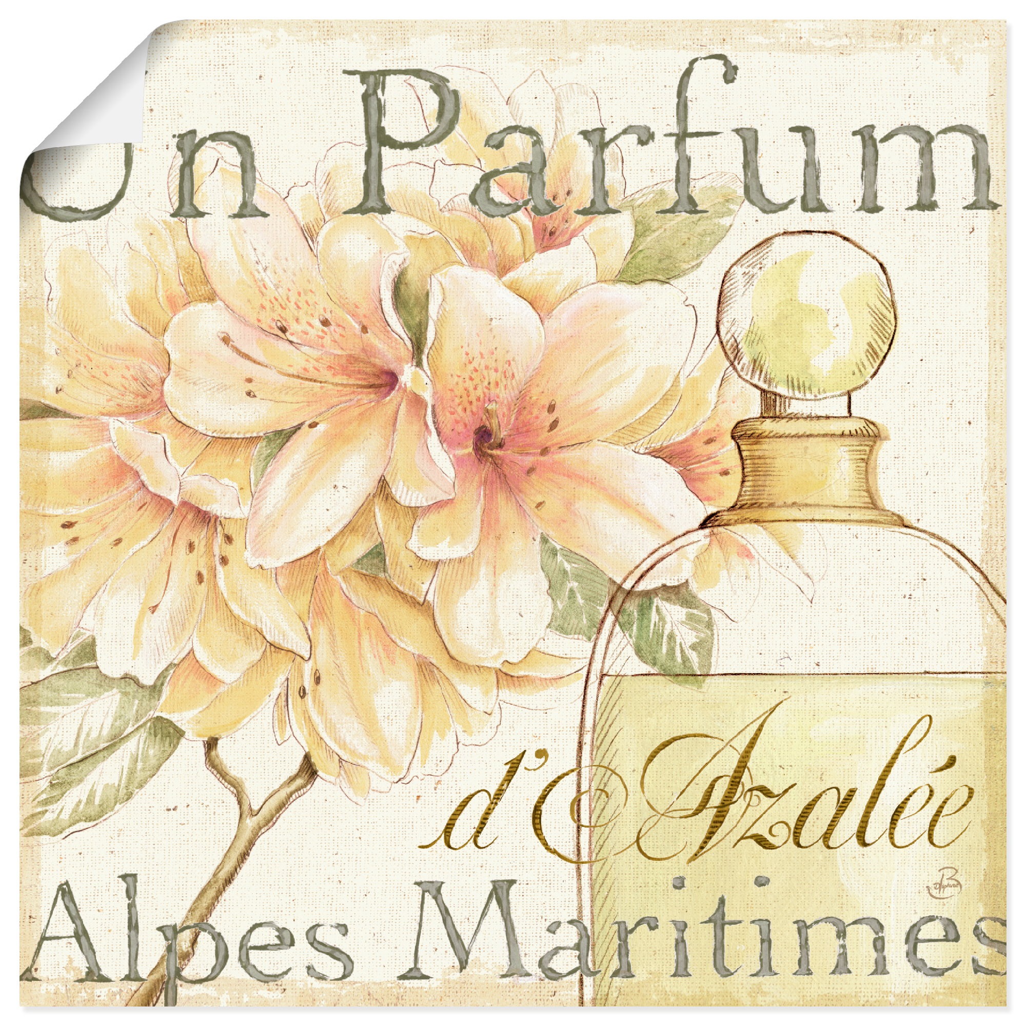 Artland Poster "Blumen und Parfum III", Schilder, (1 St.), als Leinwandbild günstig online kaufen