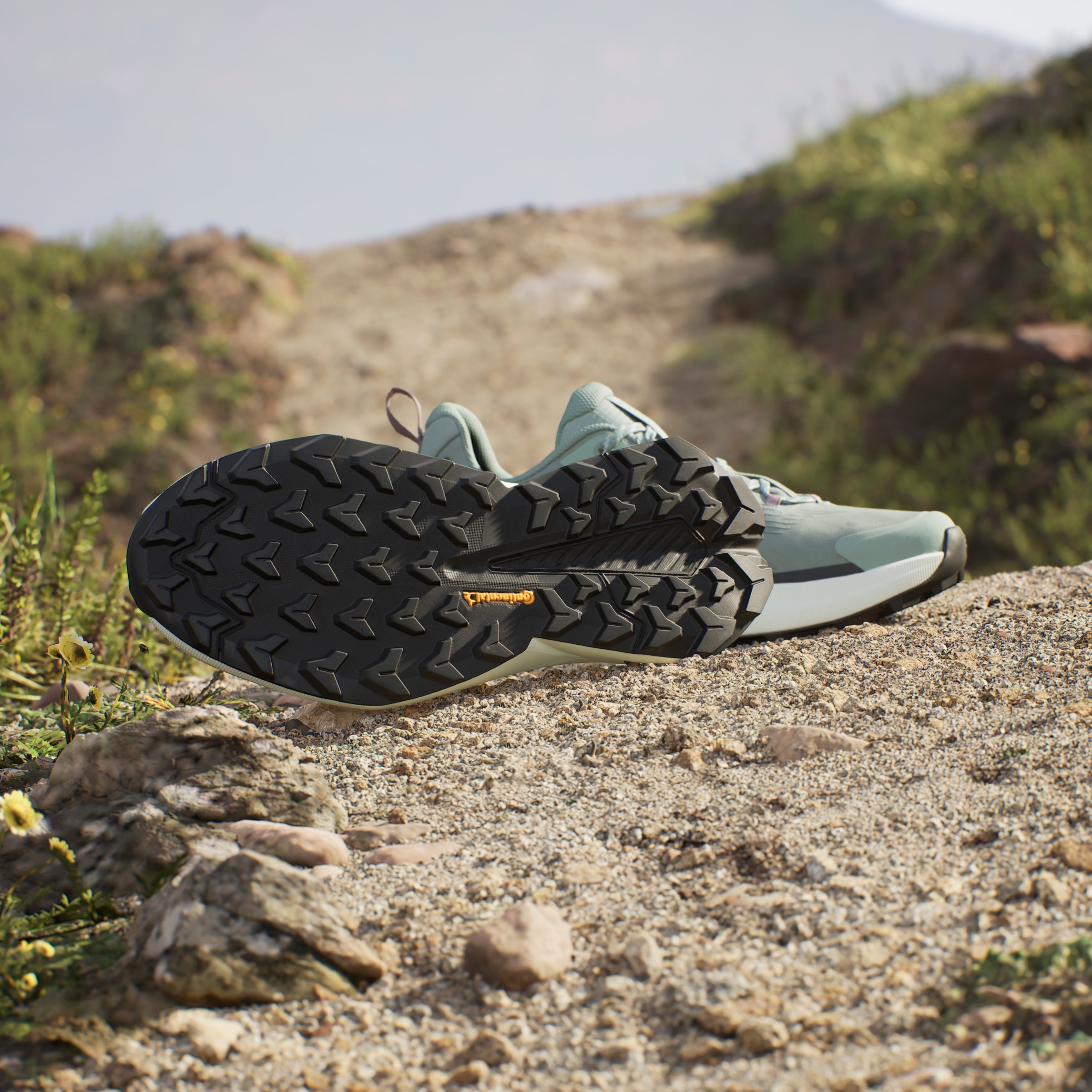 adidas TERREX Wanderschuh »TERREX TRAILMAKER 2 W«