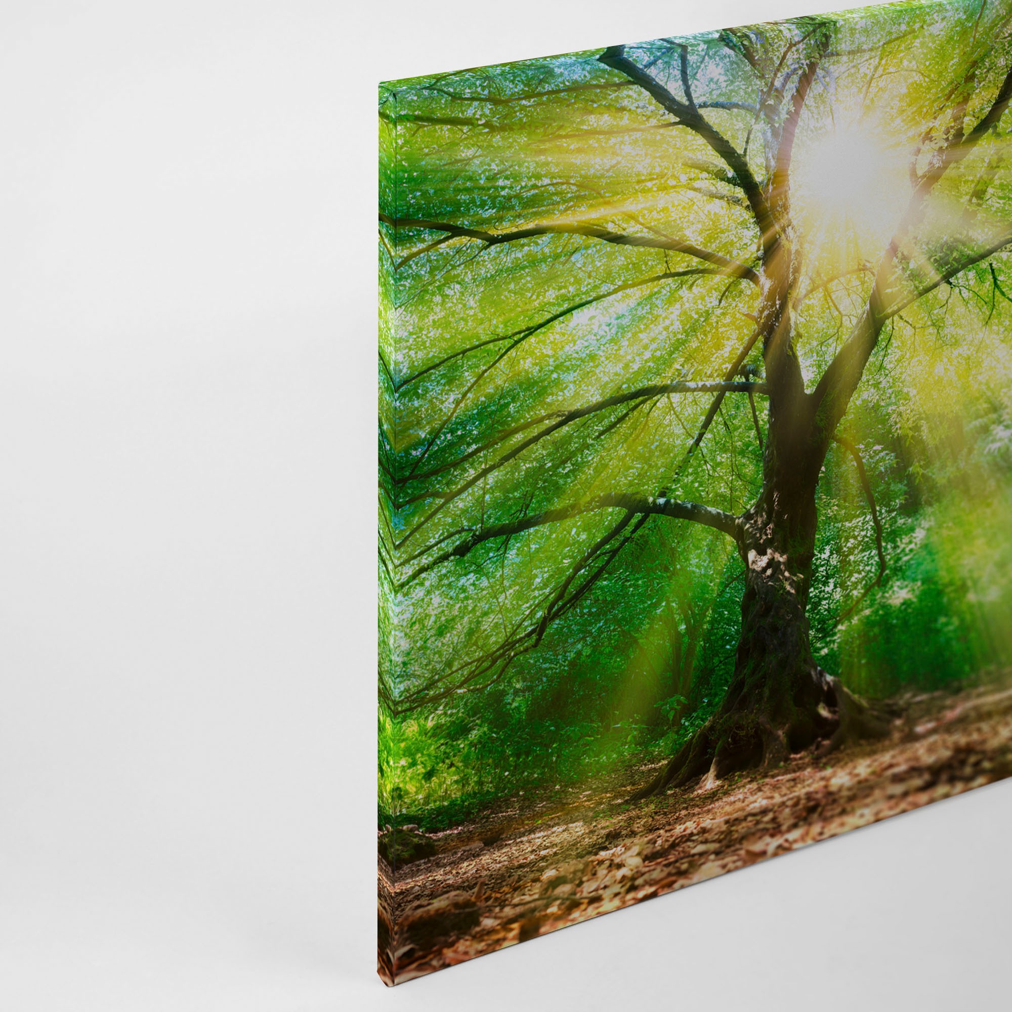 A.S. Création Leinwandbild »Forest Light«, Kunst-Wald-Kinder, (1 St.), Sonnenlicht Baumkrone Keilrahmen Natur Leinwand-Bild Wohnzimmer modern
