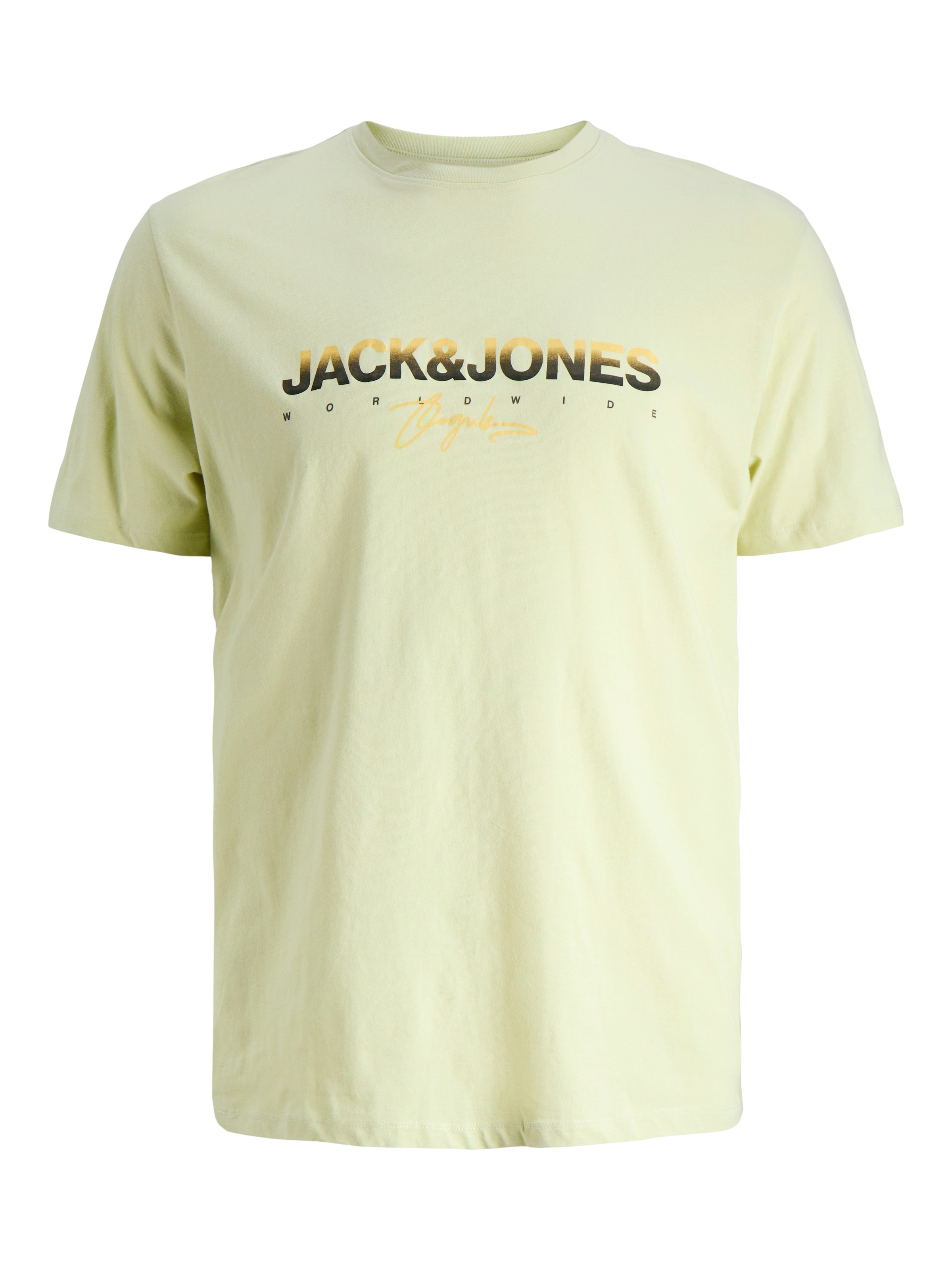 Jack & Jones PlusSize Print-Shirt »JORCANGGU TEE SS CREW NECK FST PLS«, mit Logo Print