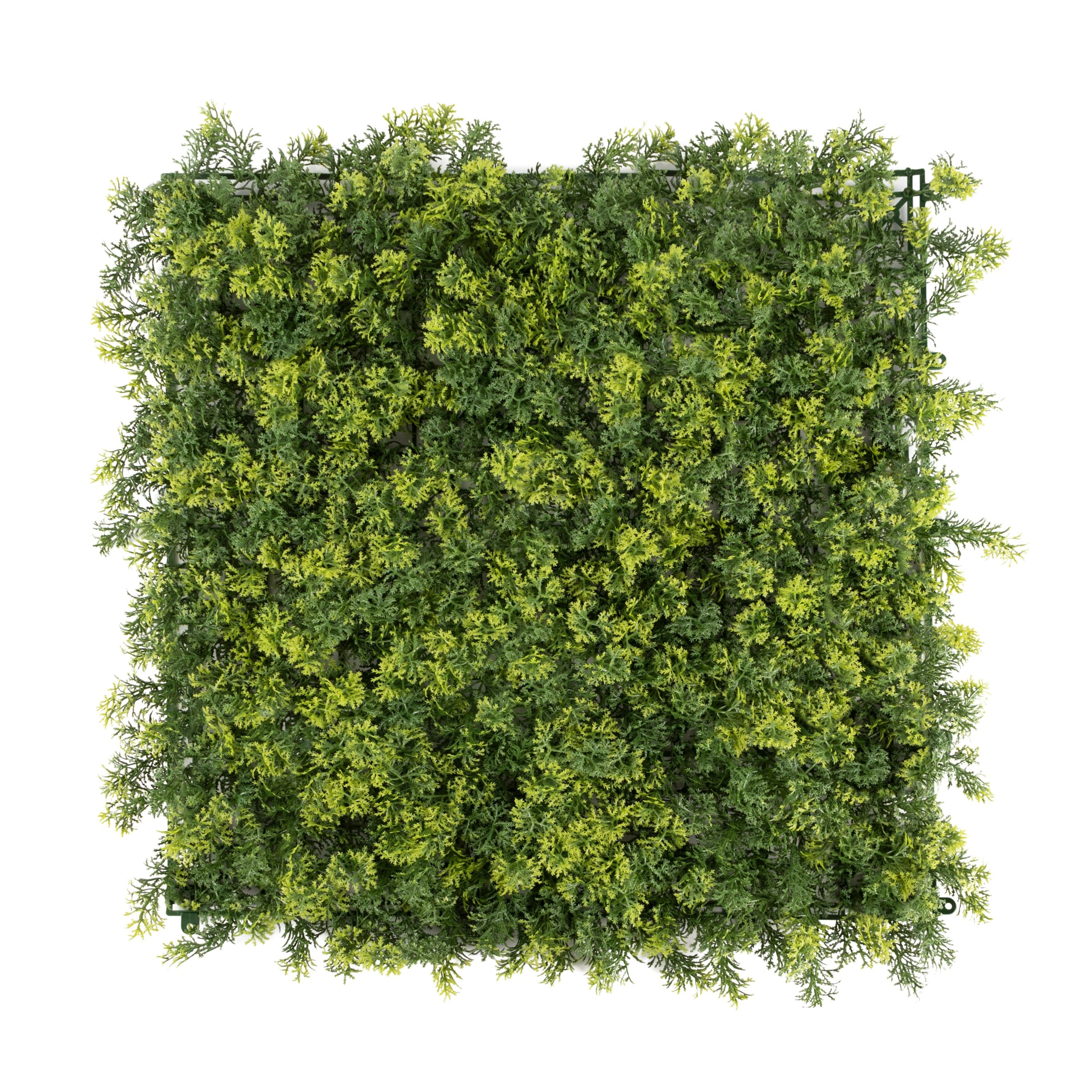 Primaflor-Ideen in Textil Kunstpflanze "Pflanzenwand, 50x50cm" Wanddeko, realistische Optik, In- und Outdoor geeignet, UV-beständig