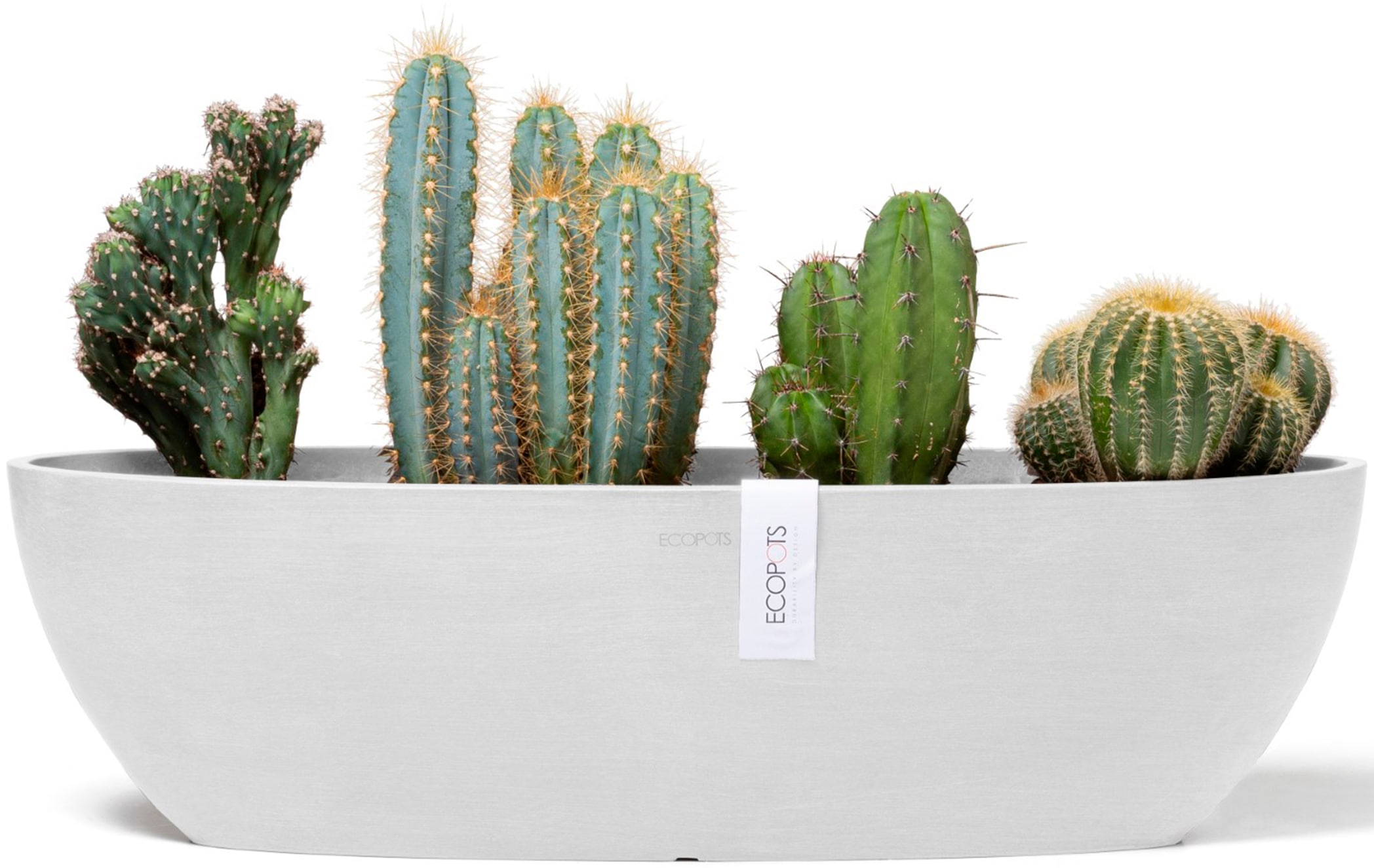 ECOPOTS Blumentopf »Sofia lang 56 Weiß«, für innen und außen: frostsicher, bruchsicher und lichtbeständig