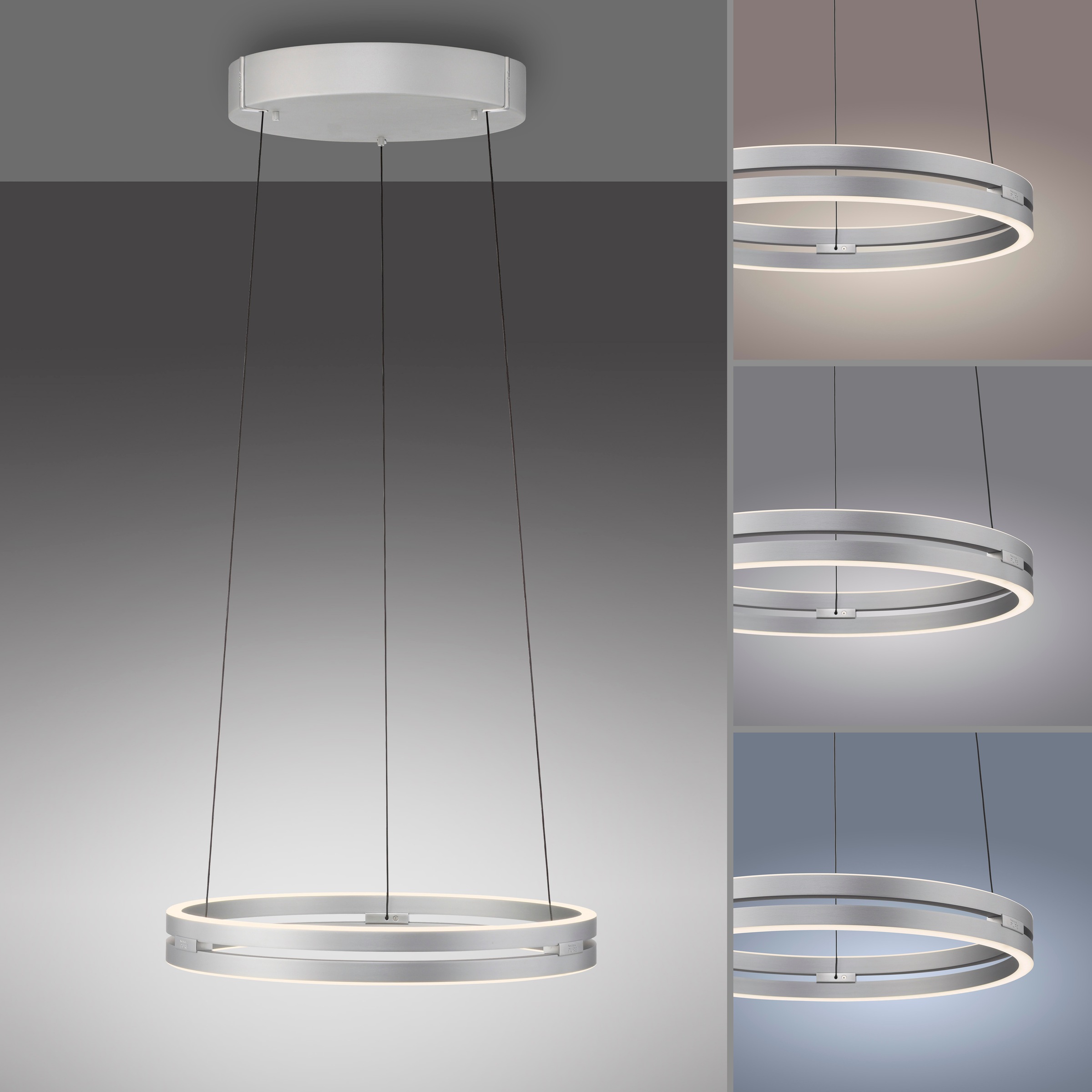 Neuhaus PURE LED Pendelleuchte »PURE E-Loop« LED-Board 1 Stk. warmweiß - kaltweiß e-LIFT® Funktion, CCT, dimmbar über Fernbedienung