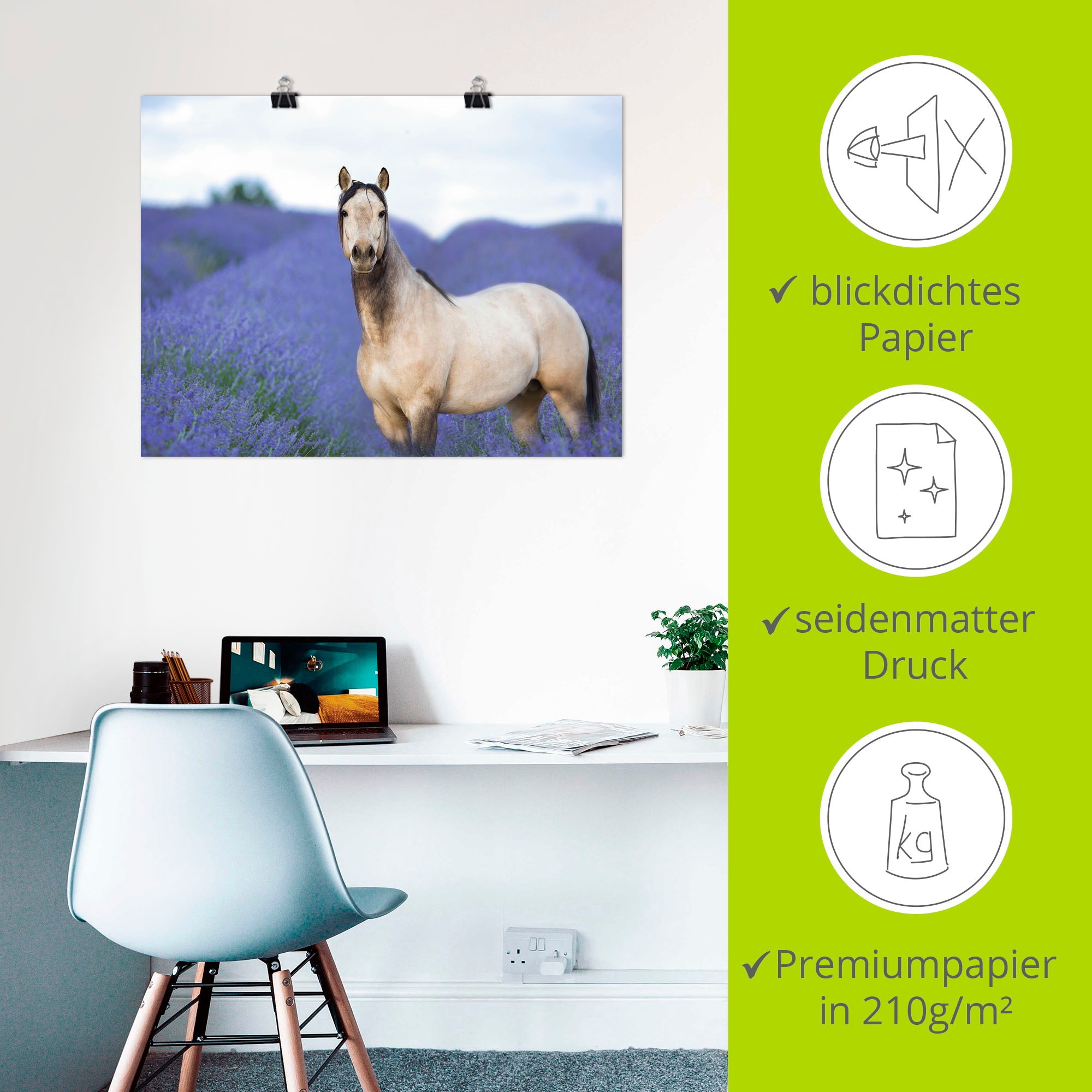 Artland Wandbild »Pferd und Blumen III«, Haustiere, (1 St.), als Leinwandbild, Poster in verschied. Größen