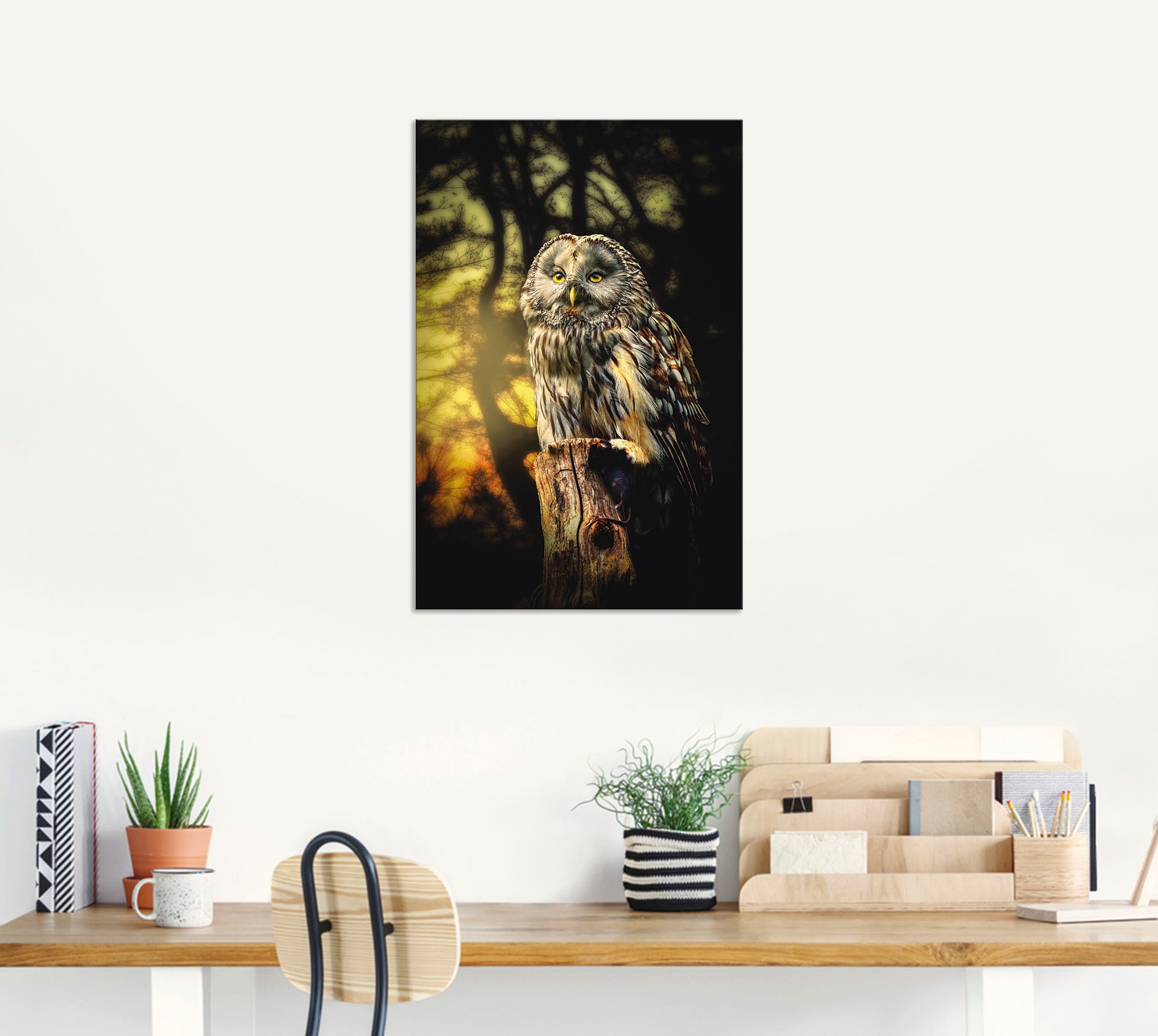 Artland Wandbild »Eule« Vögel 1 Stk. tlg. als Alubild, Outdoorbild, Leinwandbild, Poster in verschied. Größen