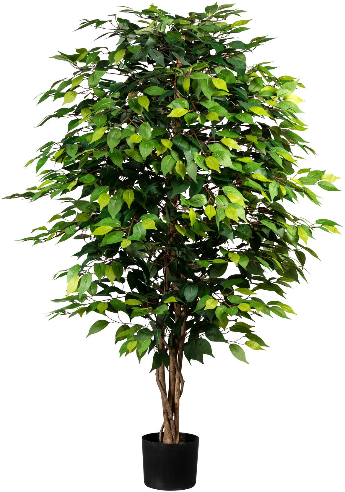 Creativ green Kunstpflanze "Ficus Benjamini"