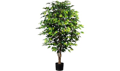 Creativ green Kunstpflanze »Ficus Benjamini«, (1 St.) kaufen