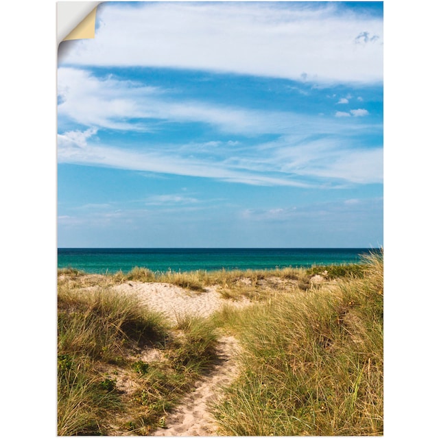 Artland Wandbild »In den Dünen Dänemarks I«, Strand, (1 St.), als Alubild,  Leinwandbild, Wandaufkleber oder Poster in versch. Größen bestellen | BAUR