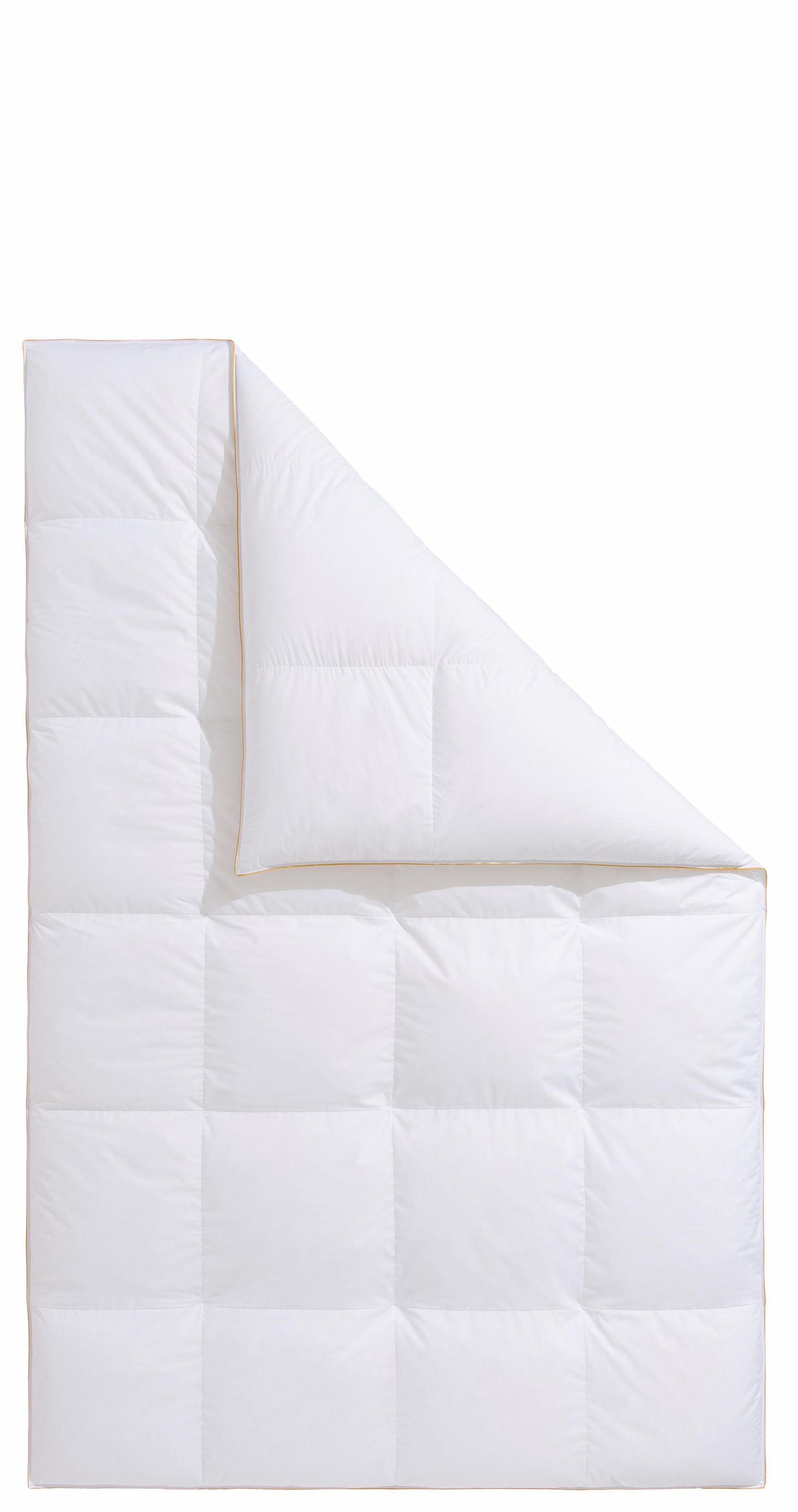 Frau Holle Gänsedaunenbettdecke "Dana, Bettdecken für Sommer oder Winter, h günstig online kaufen