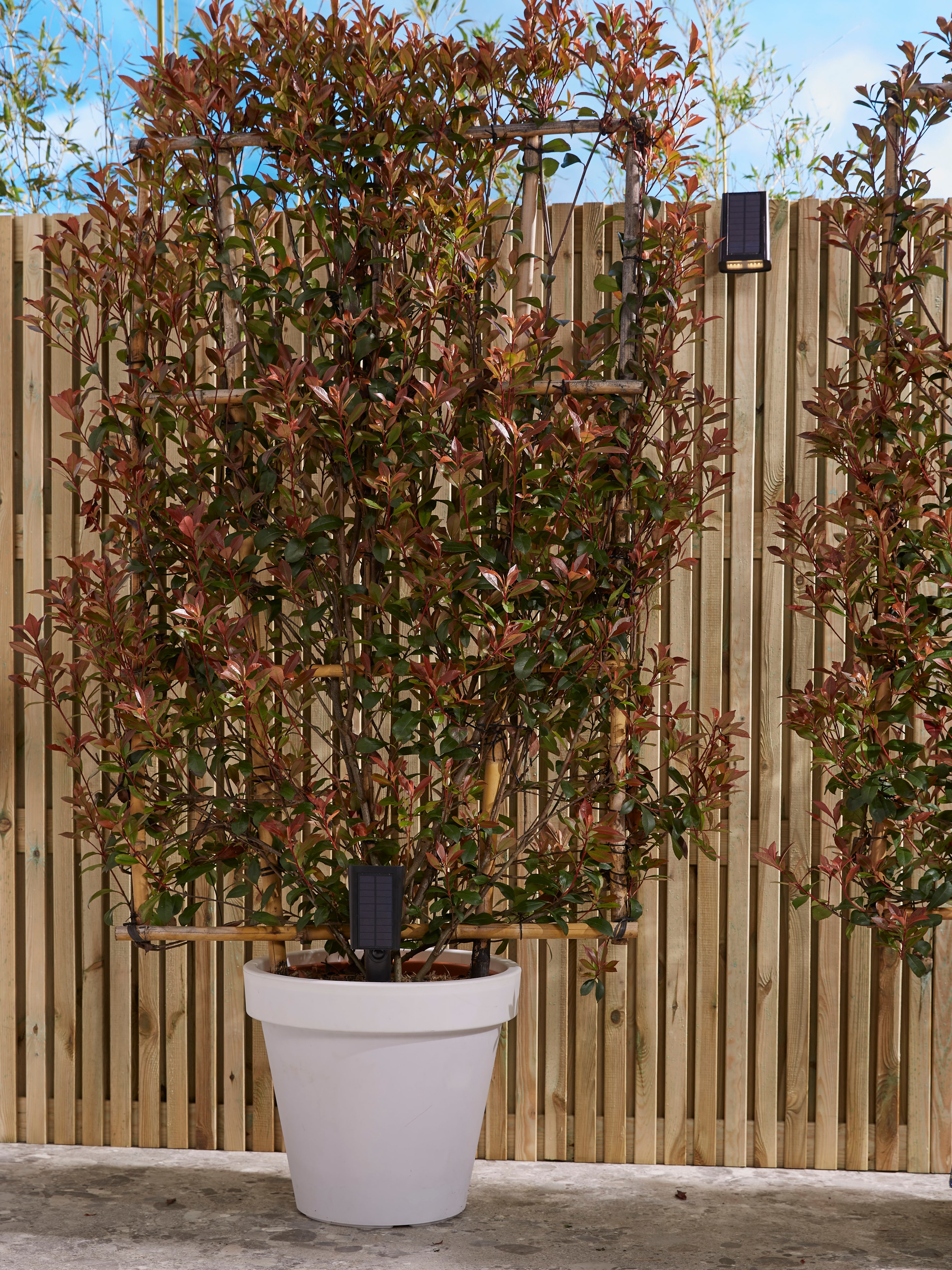LUXFORM Gartenstrahler "Solar-Intelligente - Erdspießleuchte - Rosario LED" günstig online kaufen