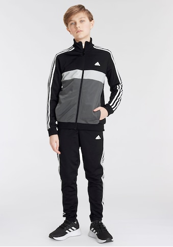 adidas Sportswear Sportinis kostiumas »ESSENTIALS 3-STRE...