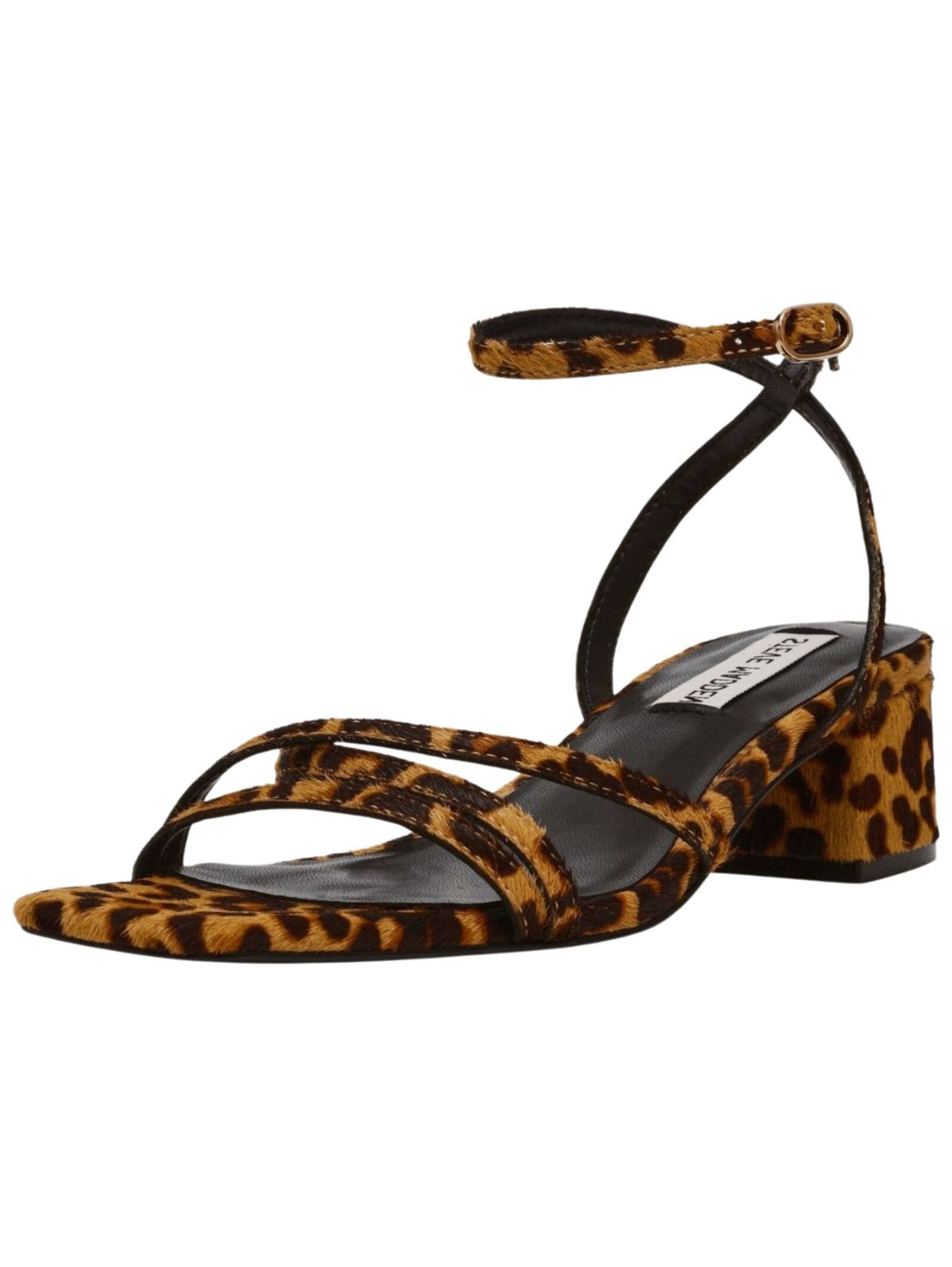 STEVE MADDEN Riemchensandale "STEVE MADDEN Sandalen Leder" günstig online kaufen