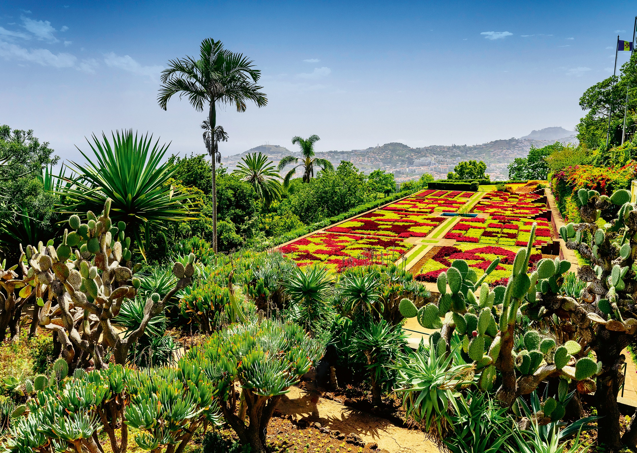 Ravensburger Puzzle »Beautiful Gardens, Botanical Garden, Madeira«, Made in Germany
