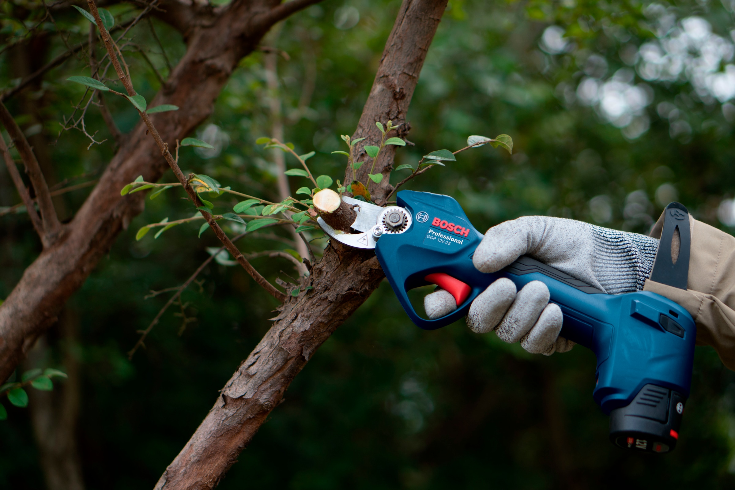 Bosch Professional Akku-Astschere »»GGP 12V-25« Complete Kit« (BxLxH: 14x34x15 cm, )  Inkl. 2 x Akku GBA 12V 3.0Ah