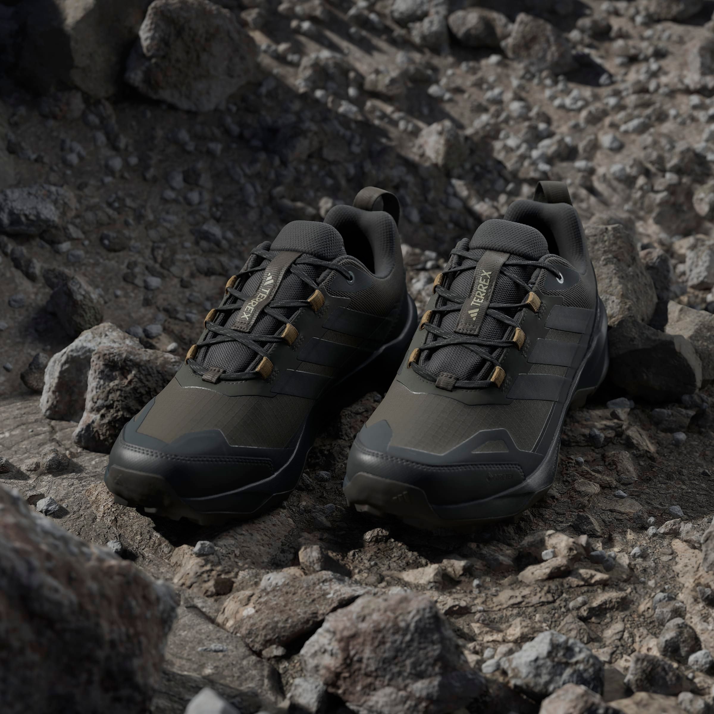 adidas TERREX Wanderschuh »TERREX SKYCHASER AX5 GORE-TEX«, wasserdicht