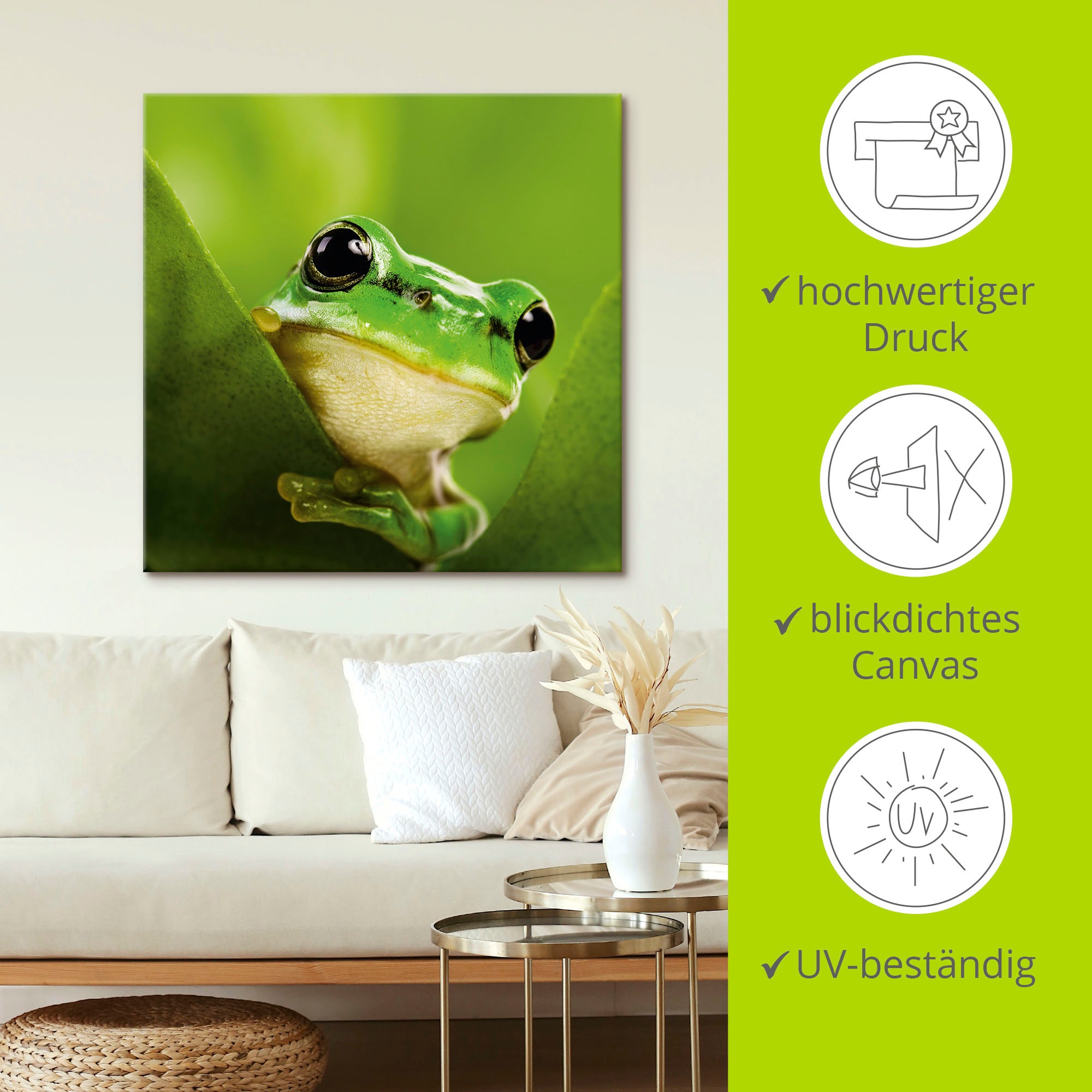 Artland Wandbild »Ausspähender Frosch«, Wassertiere, (1 St.), als Leinwandbild, Poster in verschied. Größen