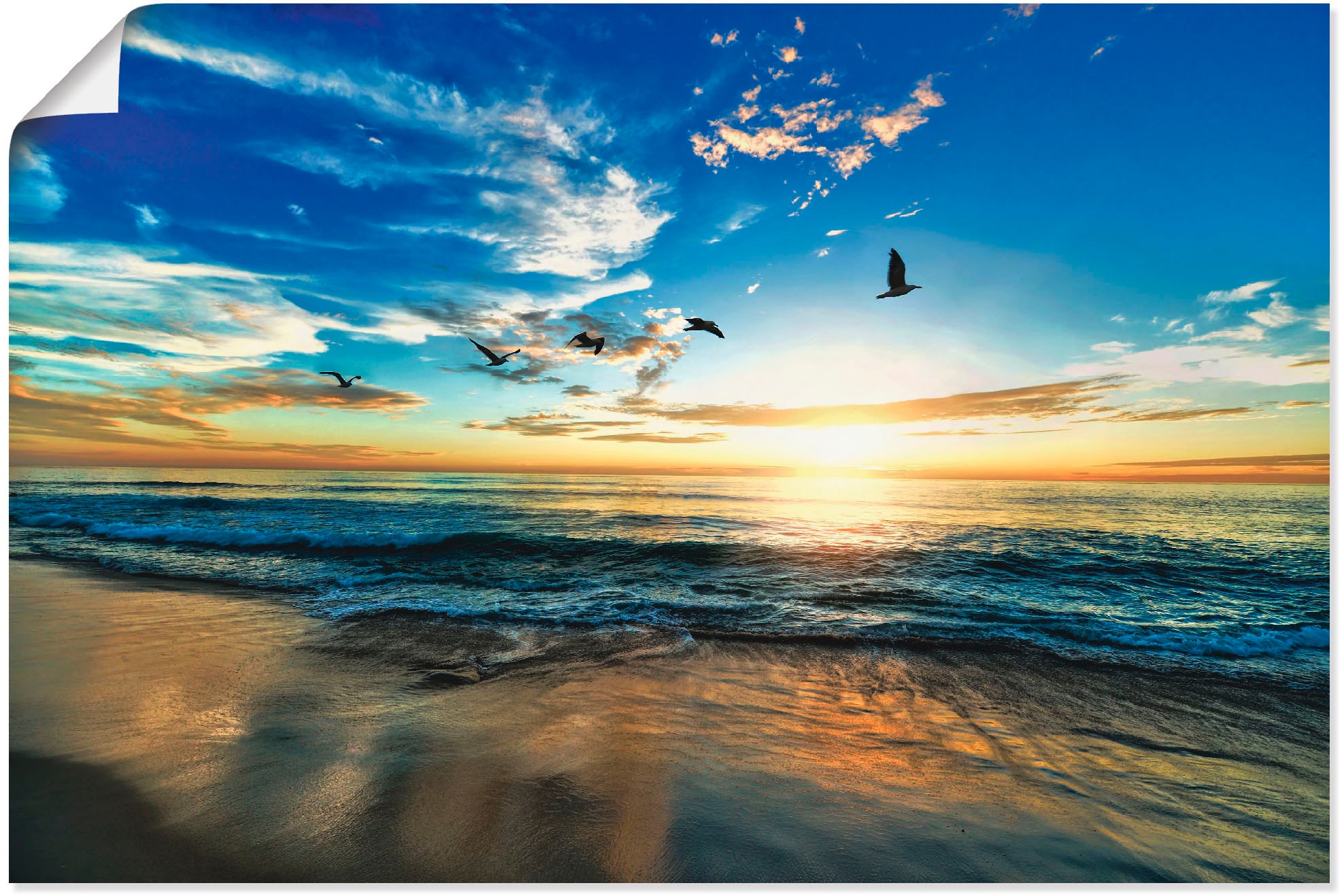 Artland Wandbild »Strand Möwen Meer oder als bestellen BAUR St.), (1 in Leinwandbild, Poster -untergang, Sonnenaufgang Wandaufkleber versch. | Sonnenuntergang«, Größen & Alubild